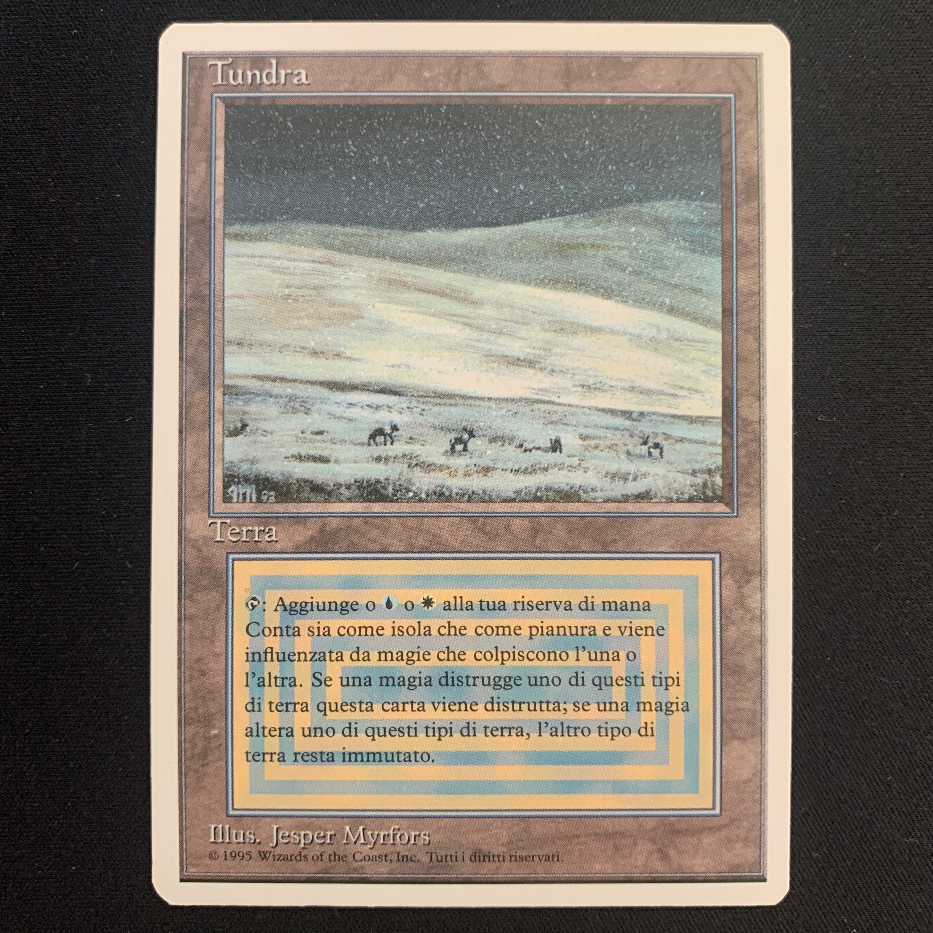 MTG Singles - Tundra - Foreign White Bordered - Italian - NM - 19425