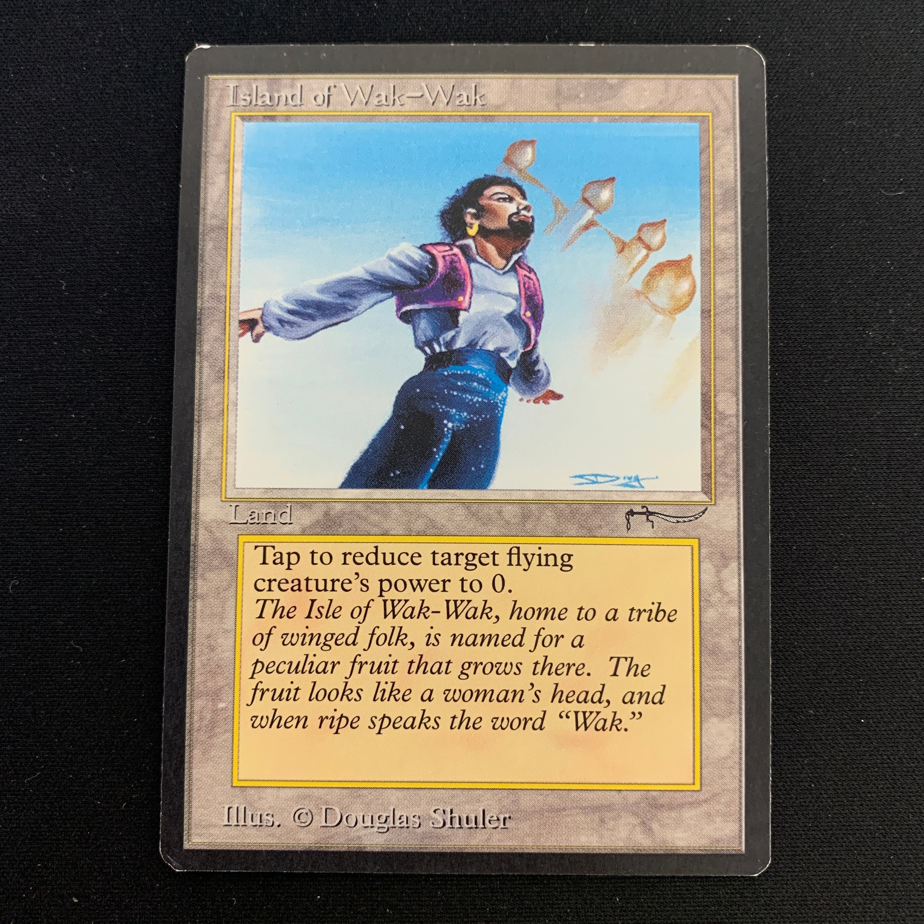 MTG Singles - Island of Wak-Wak - Arabian Nights - EX - 21246