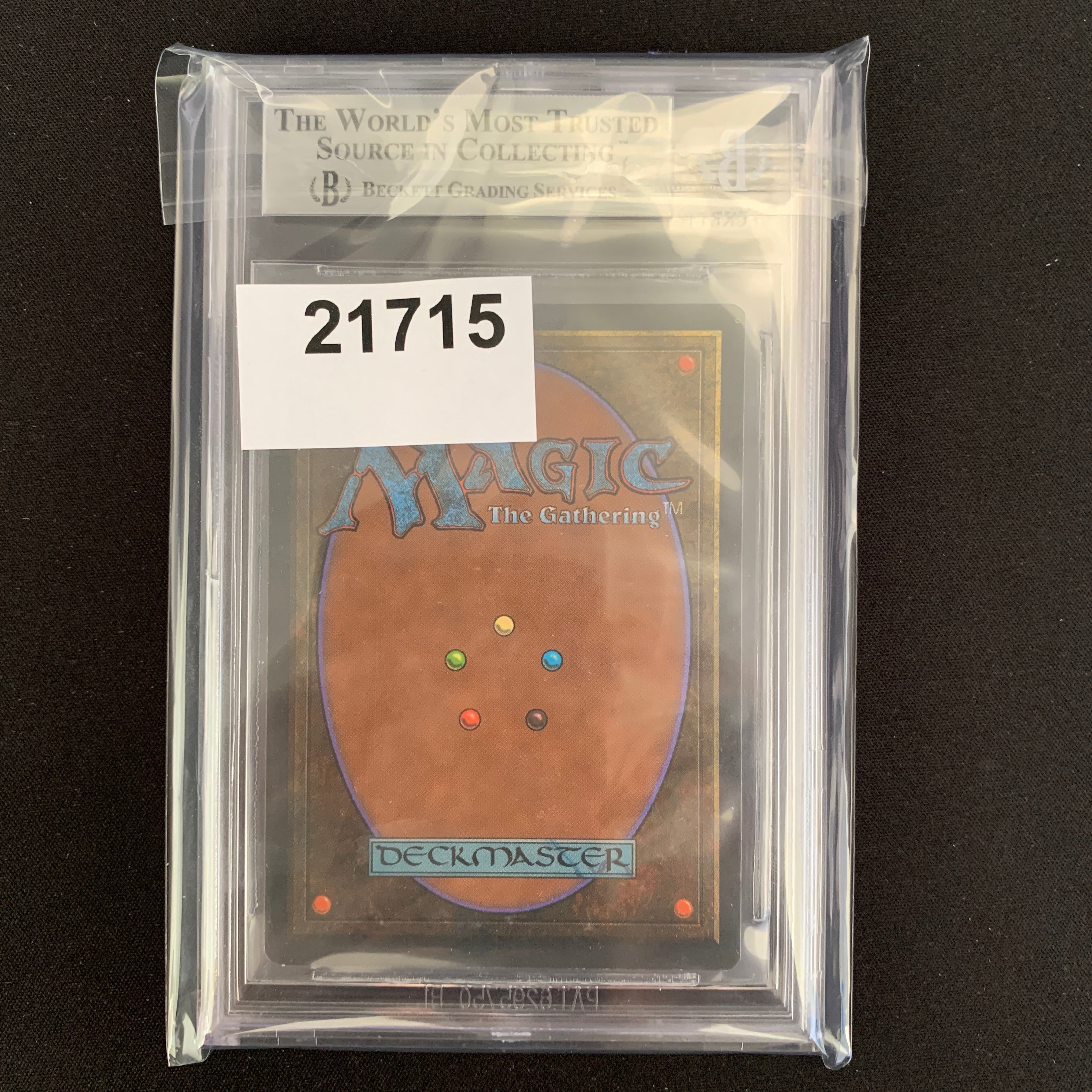 MTG Singles - Savannah - Foreign Black Bordered -