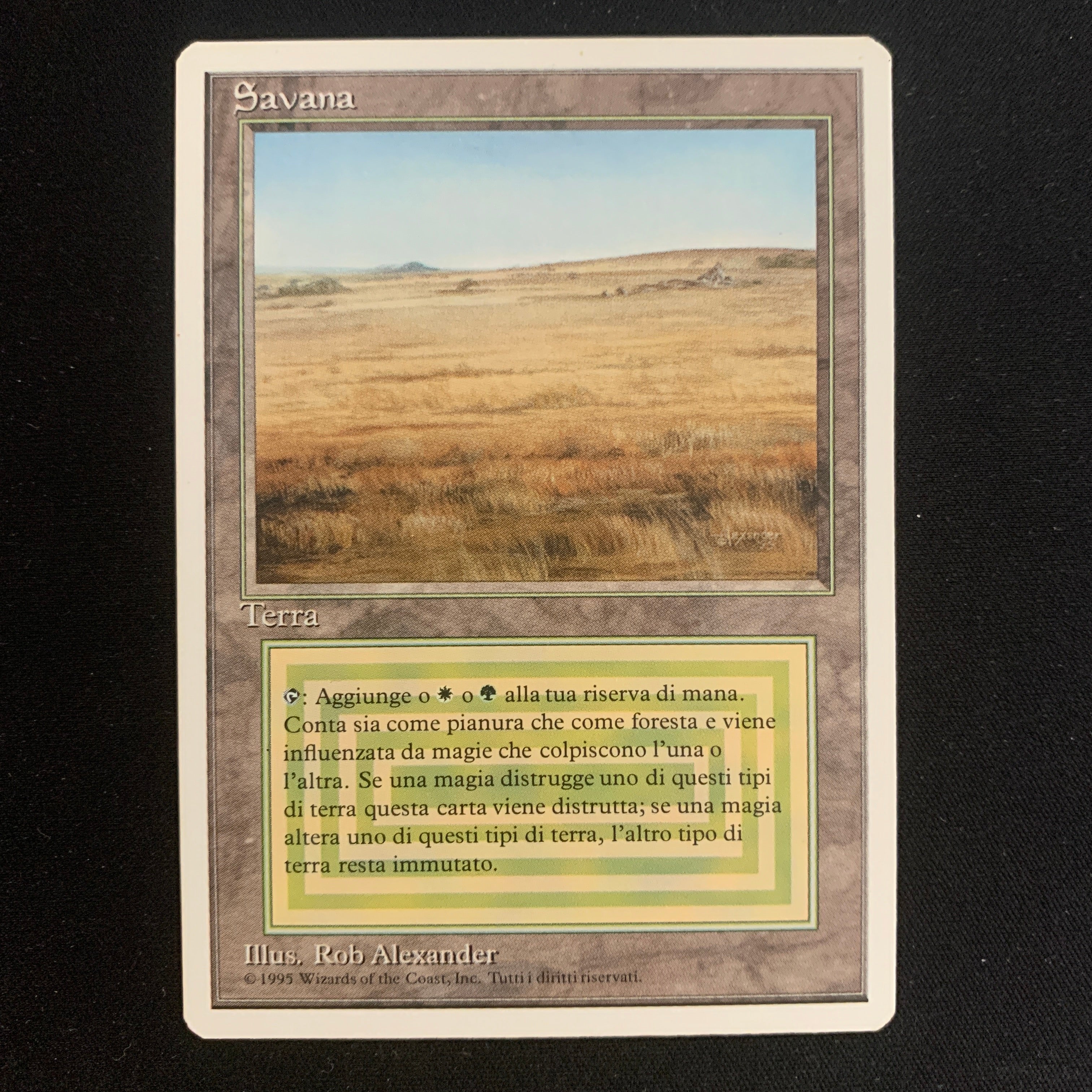 MTG Singles - Savannah - Foreign White Bordered - Italian - NM - 22435