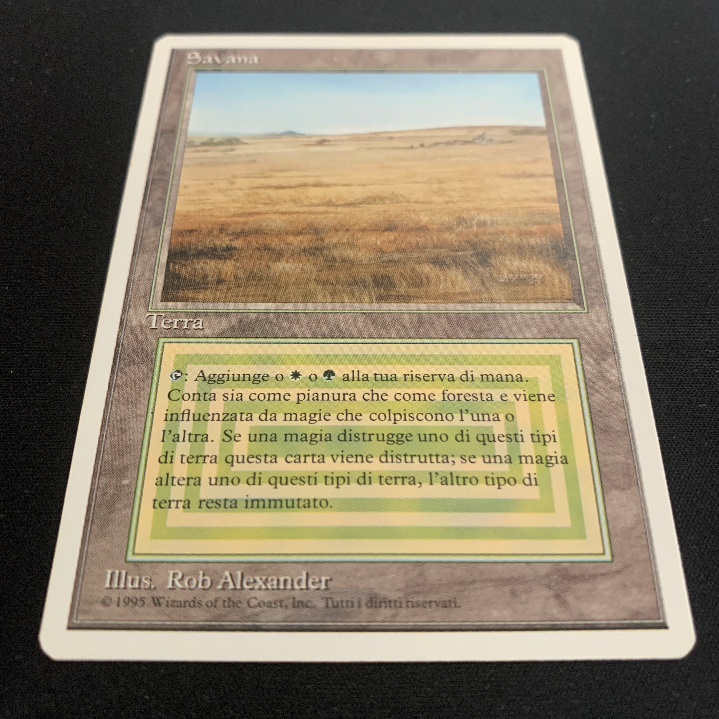MTG Singles - Savannah - Foreign White Bordered -