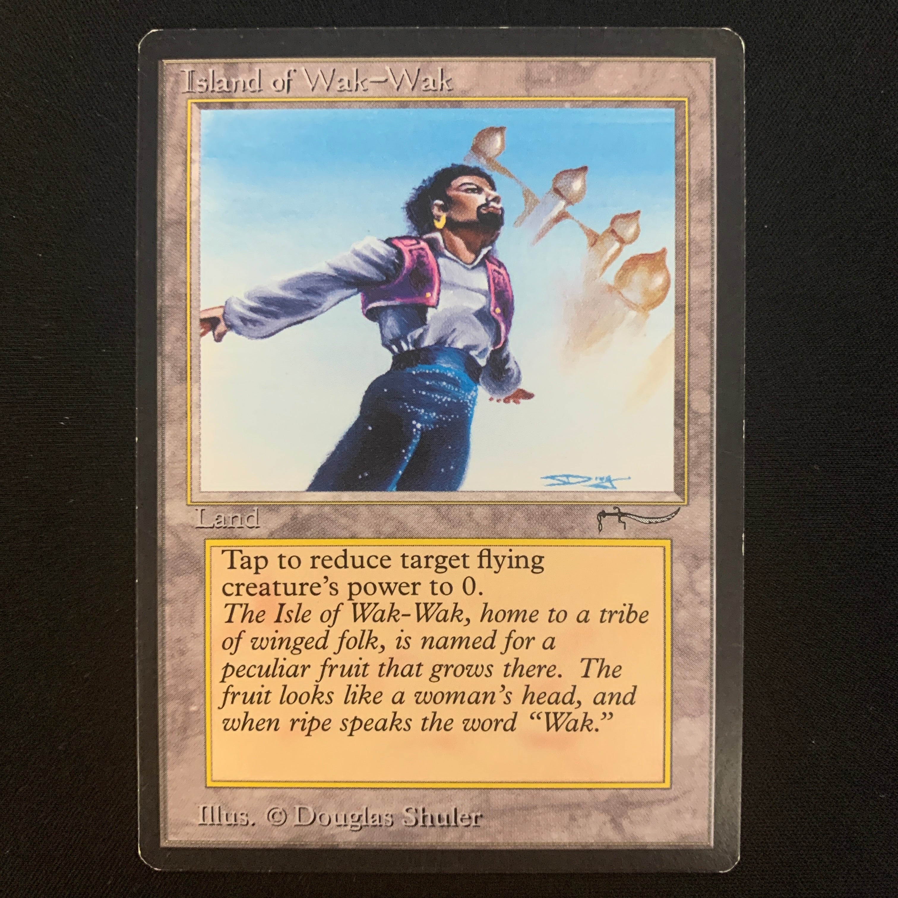 MTG Singles - Island of Wak-Wak - Arabian Nights - EX - 22941