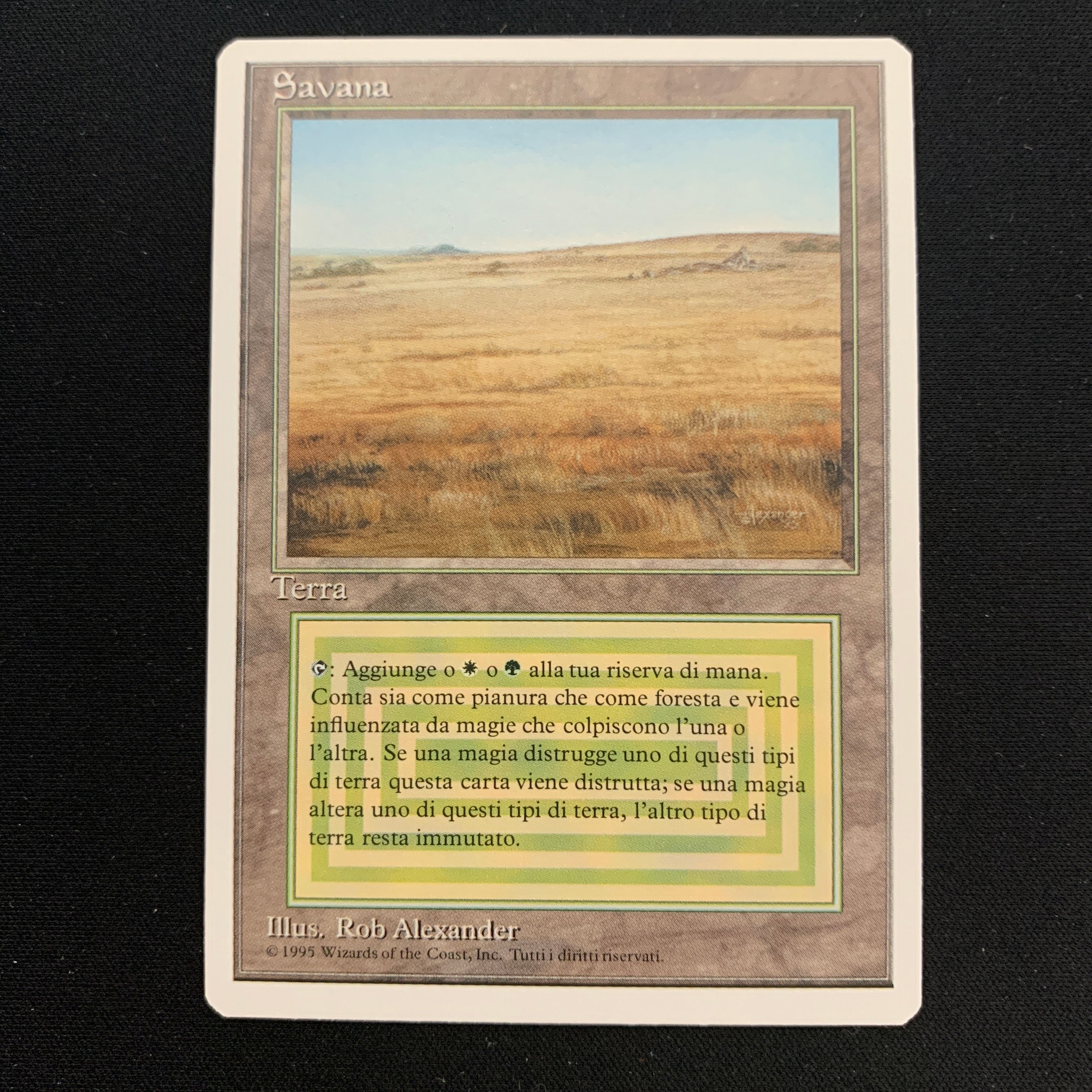 MTG Singles - Savannah - Foreign White Bordered - Italian - NM - 23631