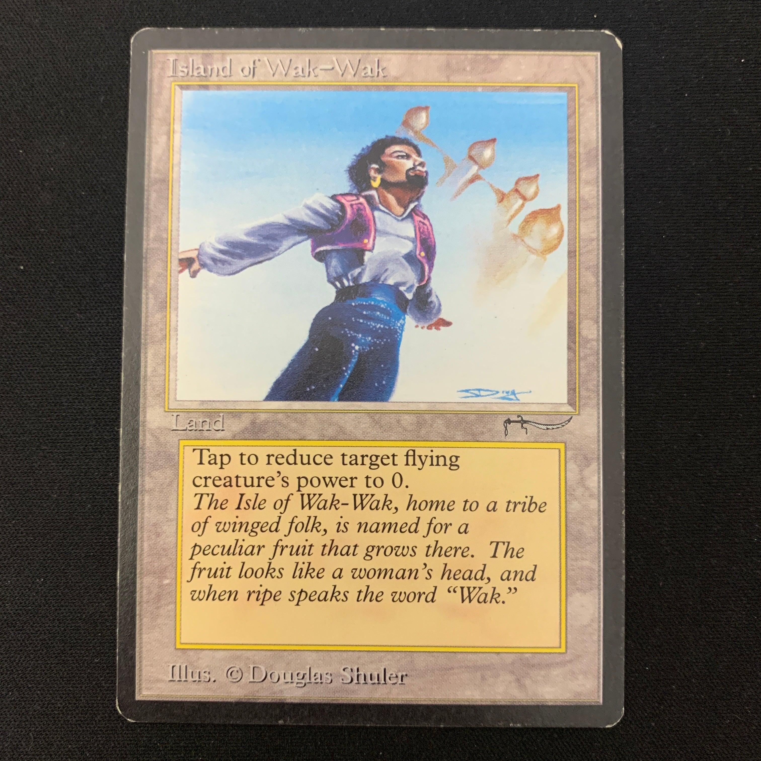 MTG Singles - Island of Wak-Wak - Arabian Nights - GD - 24146