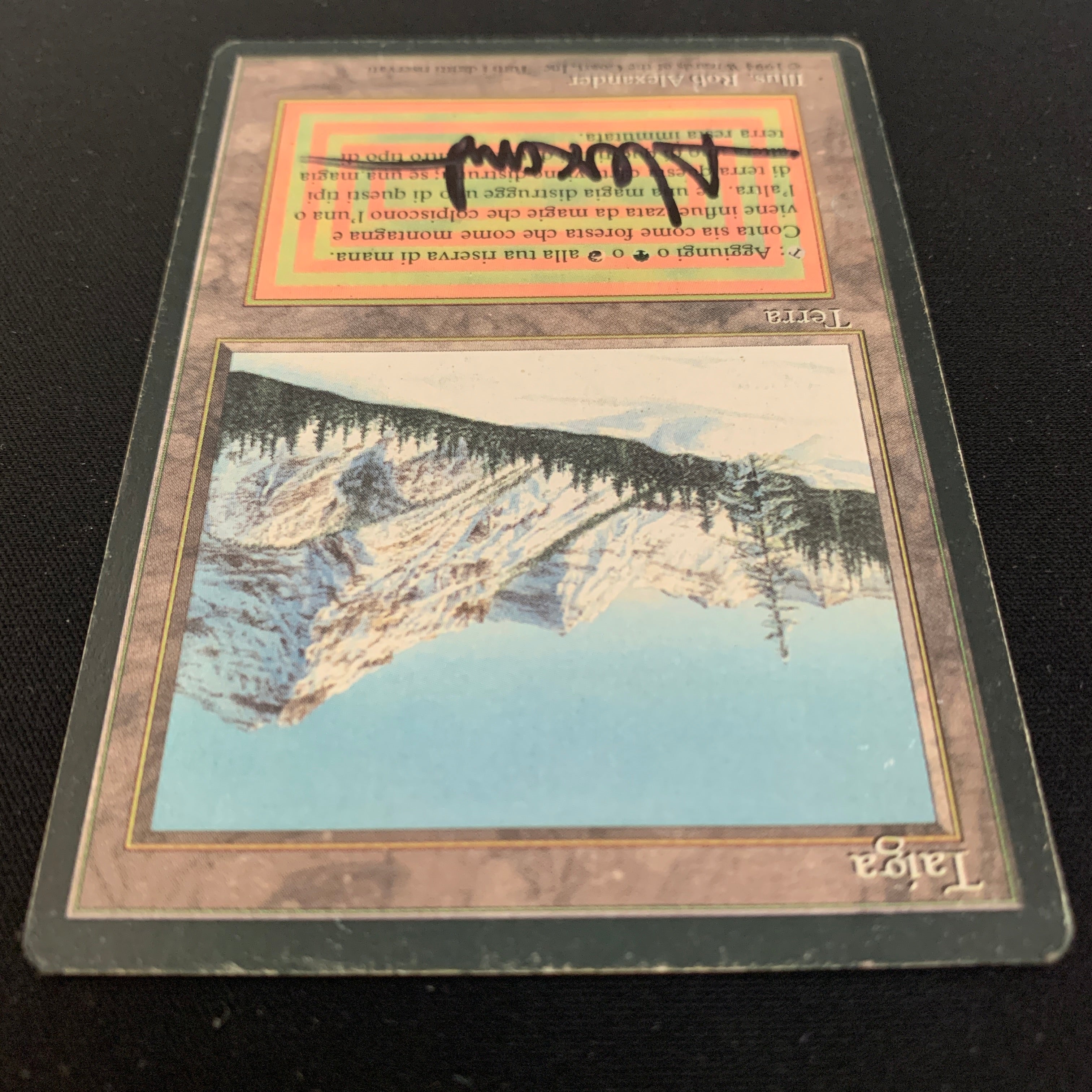MTG Singles - Taiga - Foreign Black Bordered -