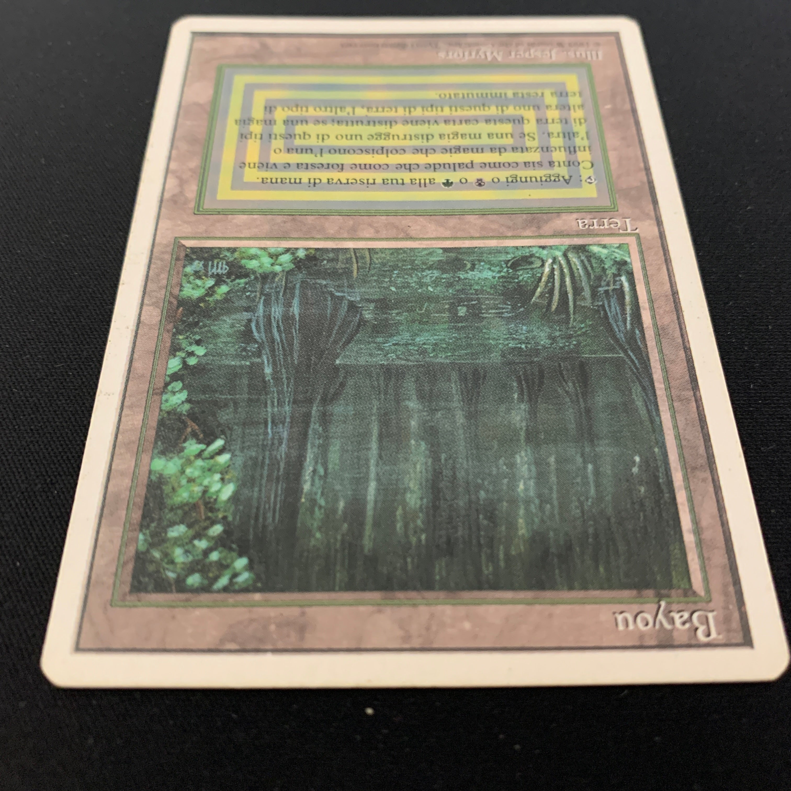 MTG Singles - Bayou - Foreign White Bordered -