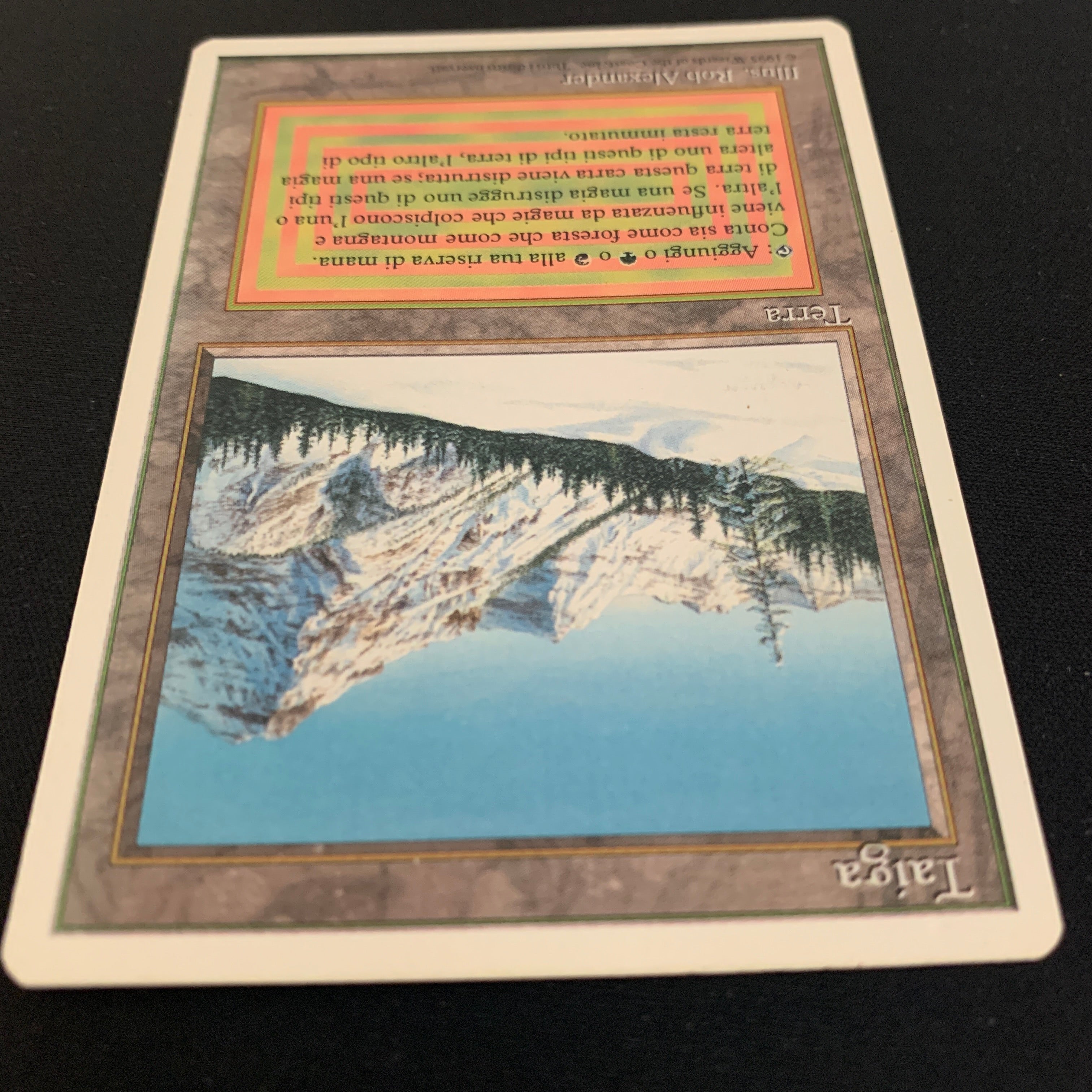 MTG Singles - Taiga - Foreign White Bordered -