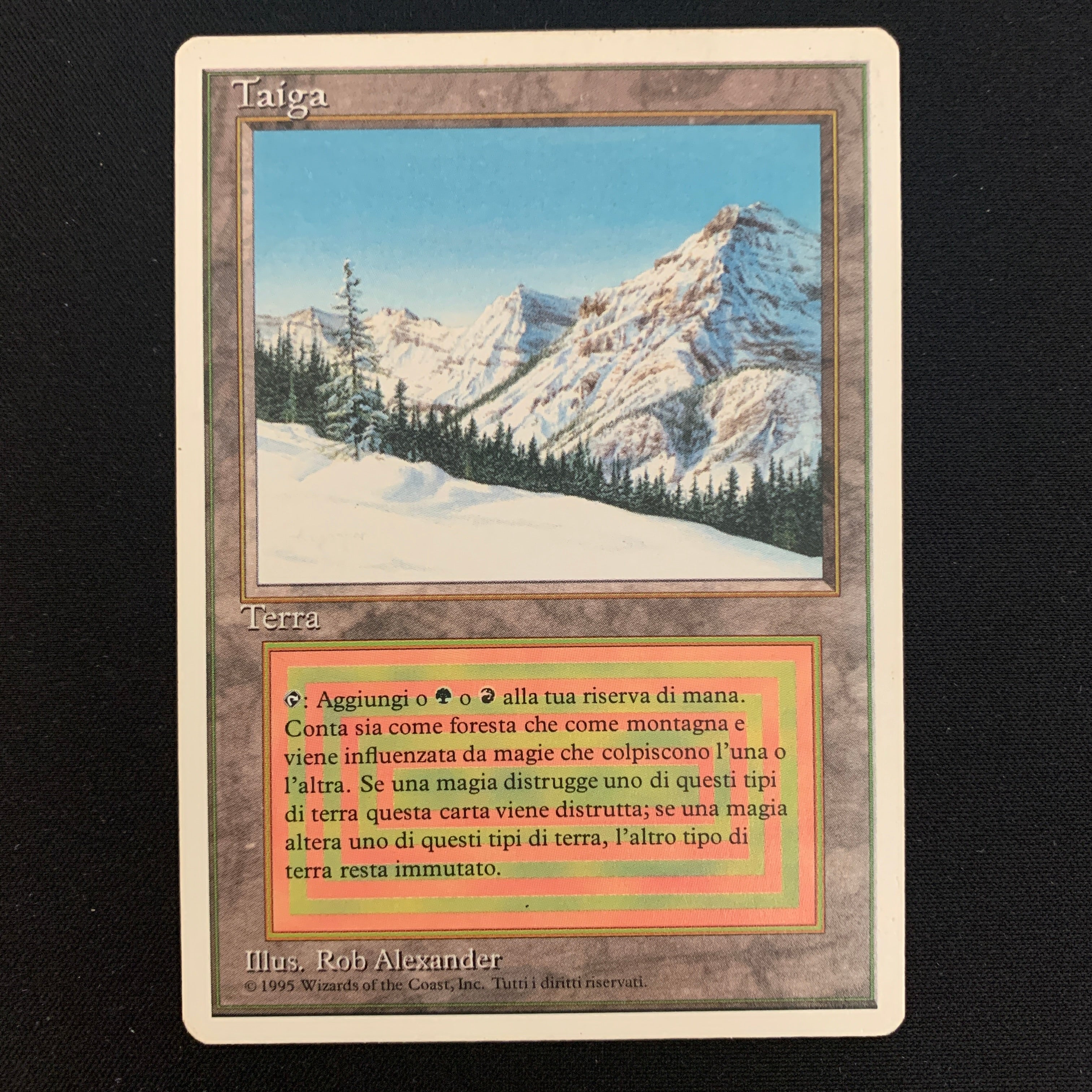 MTG Singles - Taiga - Foreign White Bordered - Italian - GD - DENT - 24531