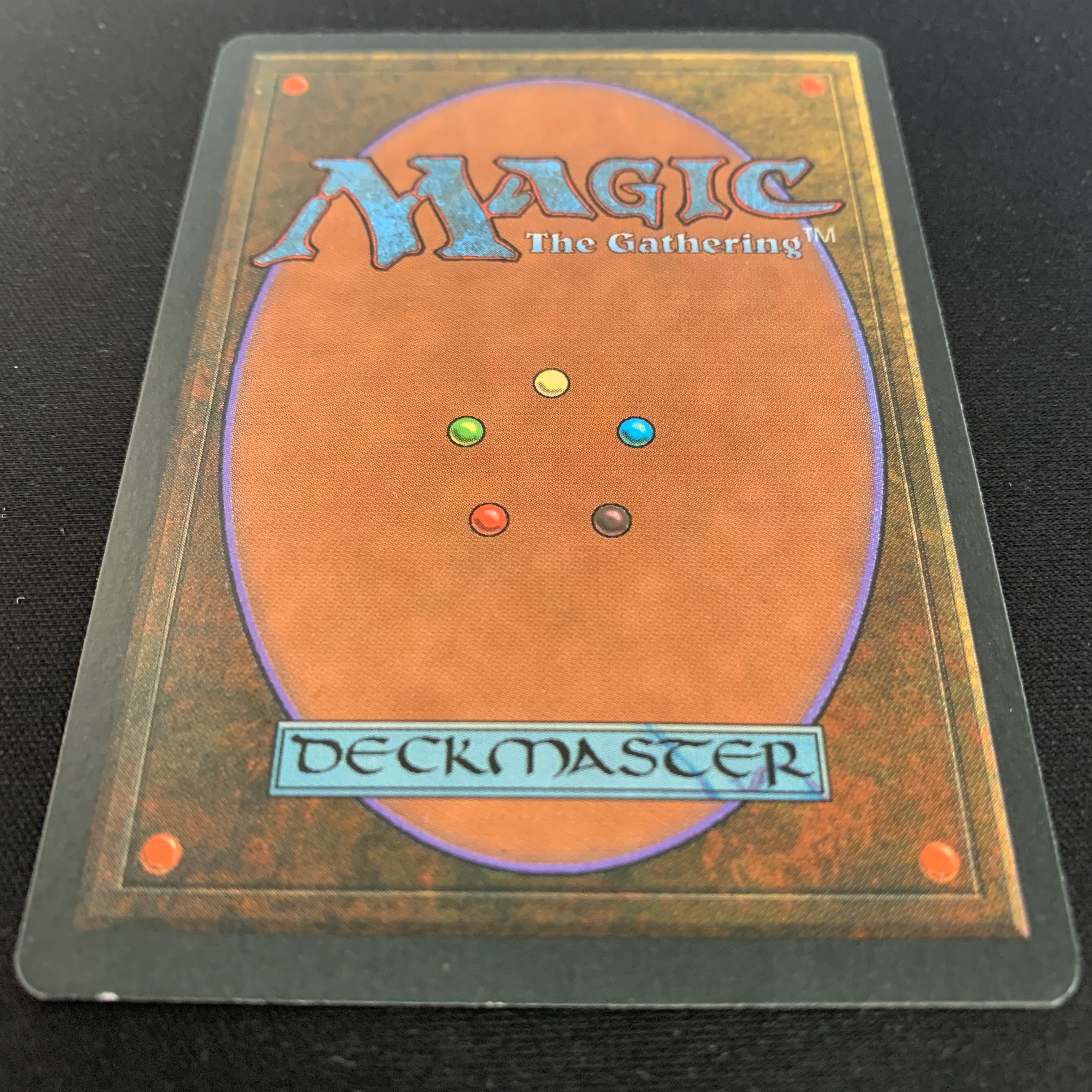 MTG Singles - Taiga - Foreign Black Bordered -