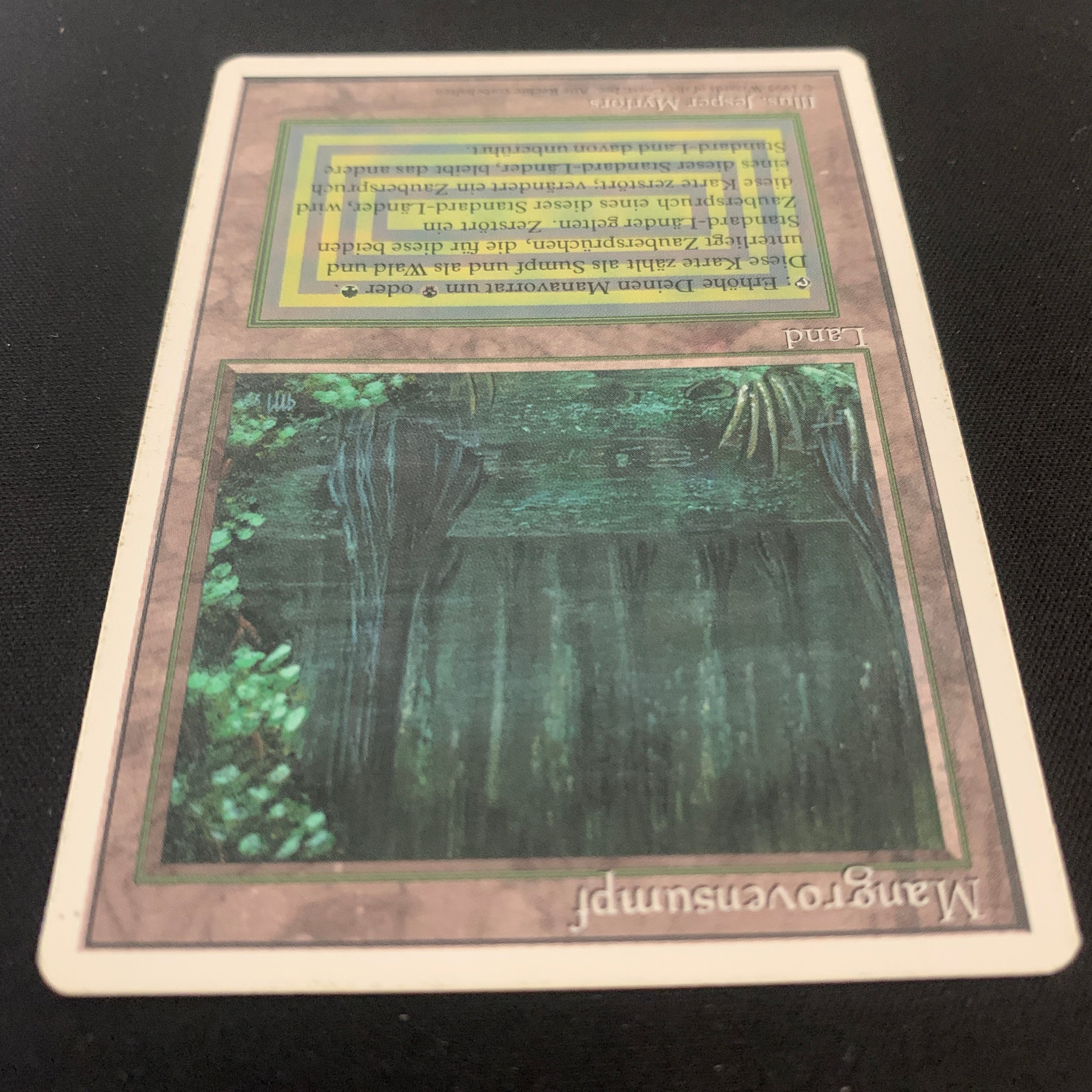 MTG Singles - Bayou - Foreign White Bordered -