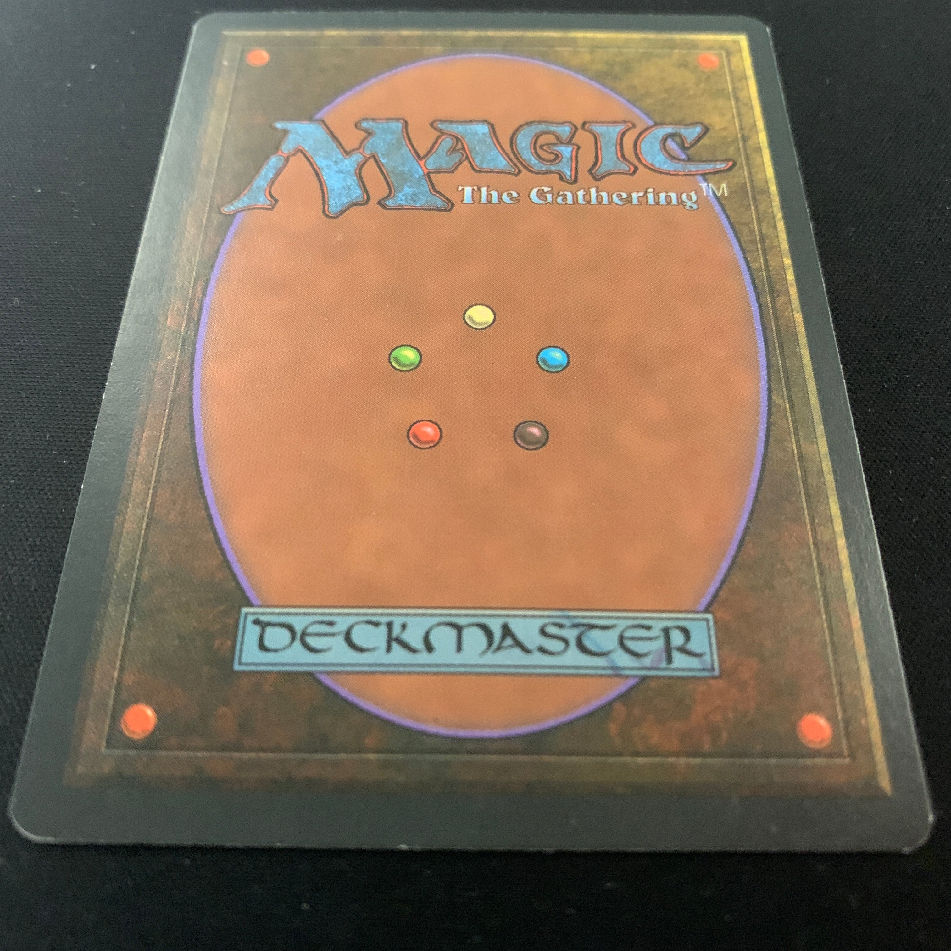 MTG Singles - Taiga - Foreign White Bordered -