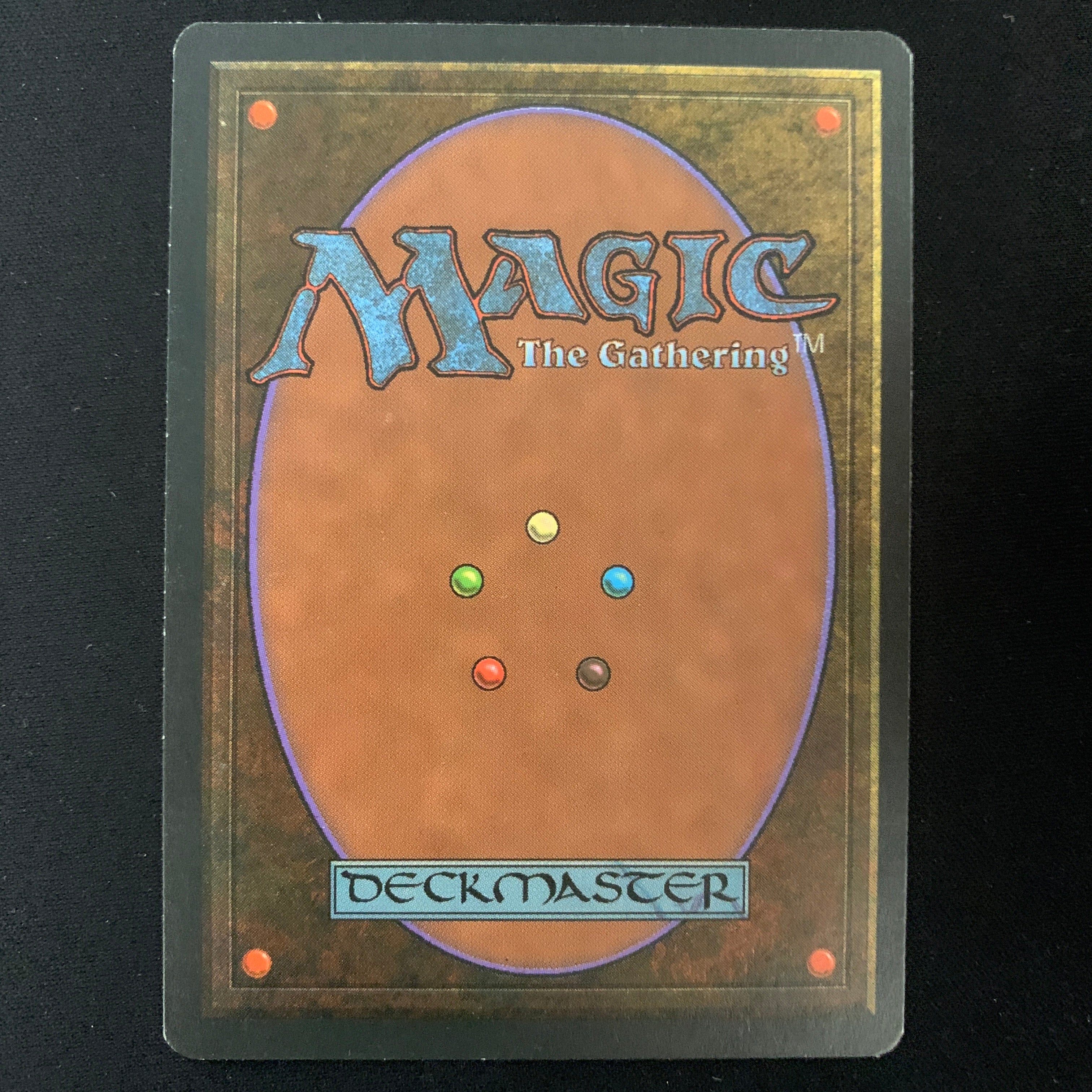 MTG Singles - Taiga - Foreign White Bordered -