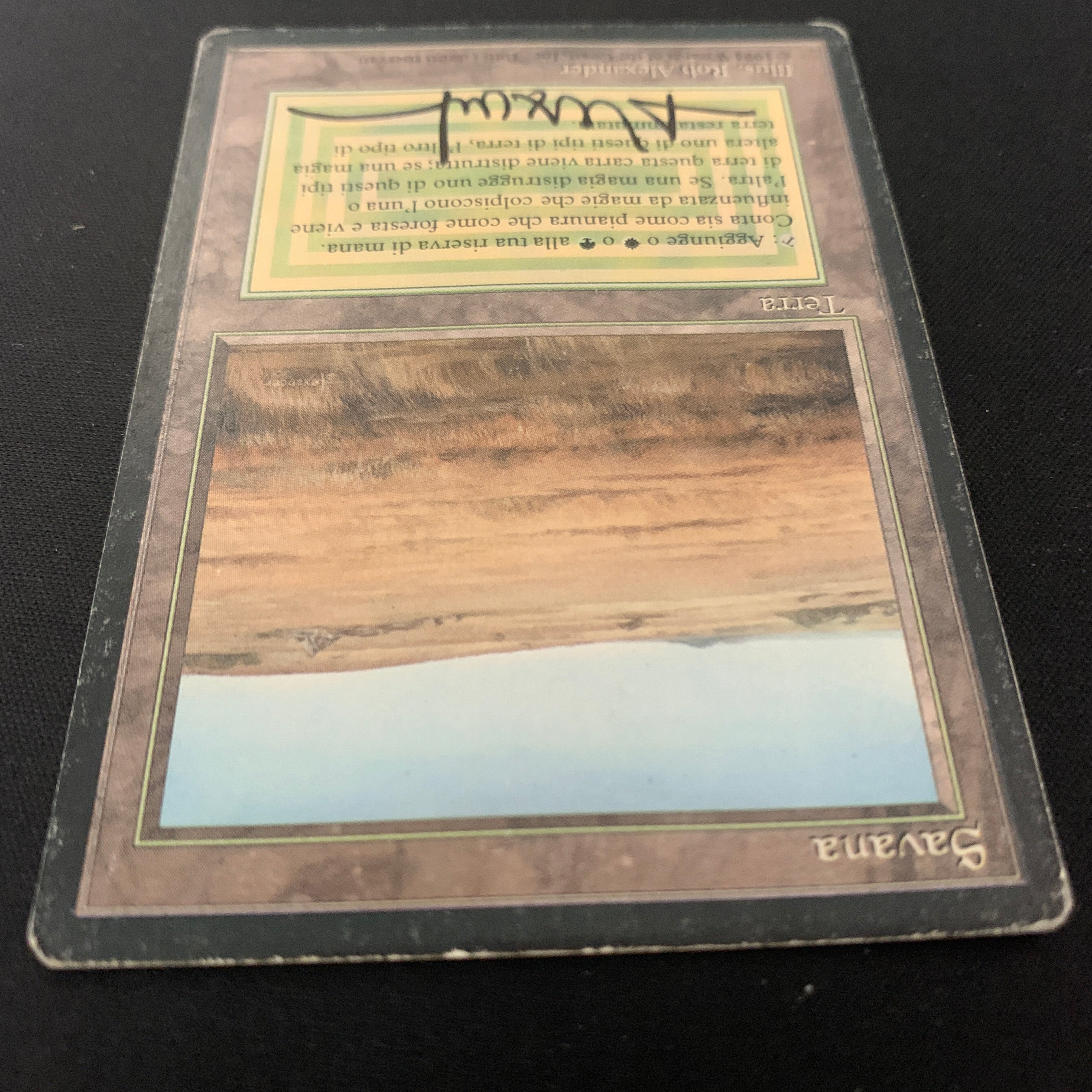 MTG Singles - Savannah - Foreign Black Bordered -