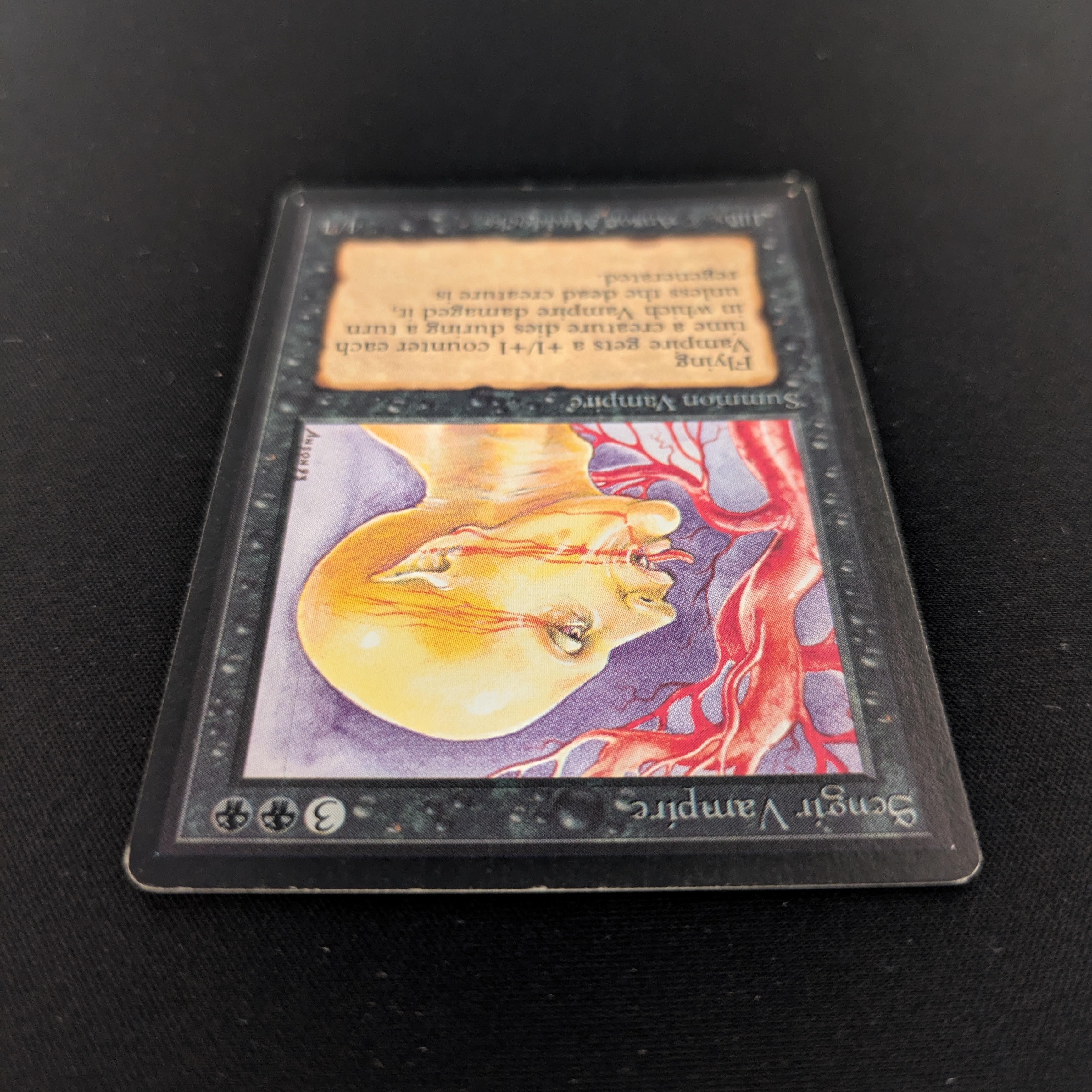 MTG Singles - Sengir Vampire - Beta -