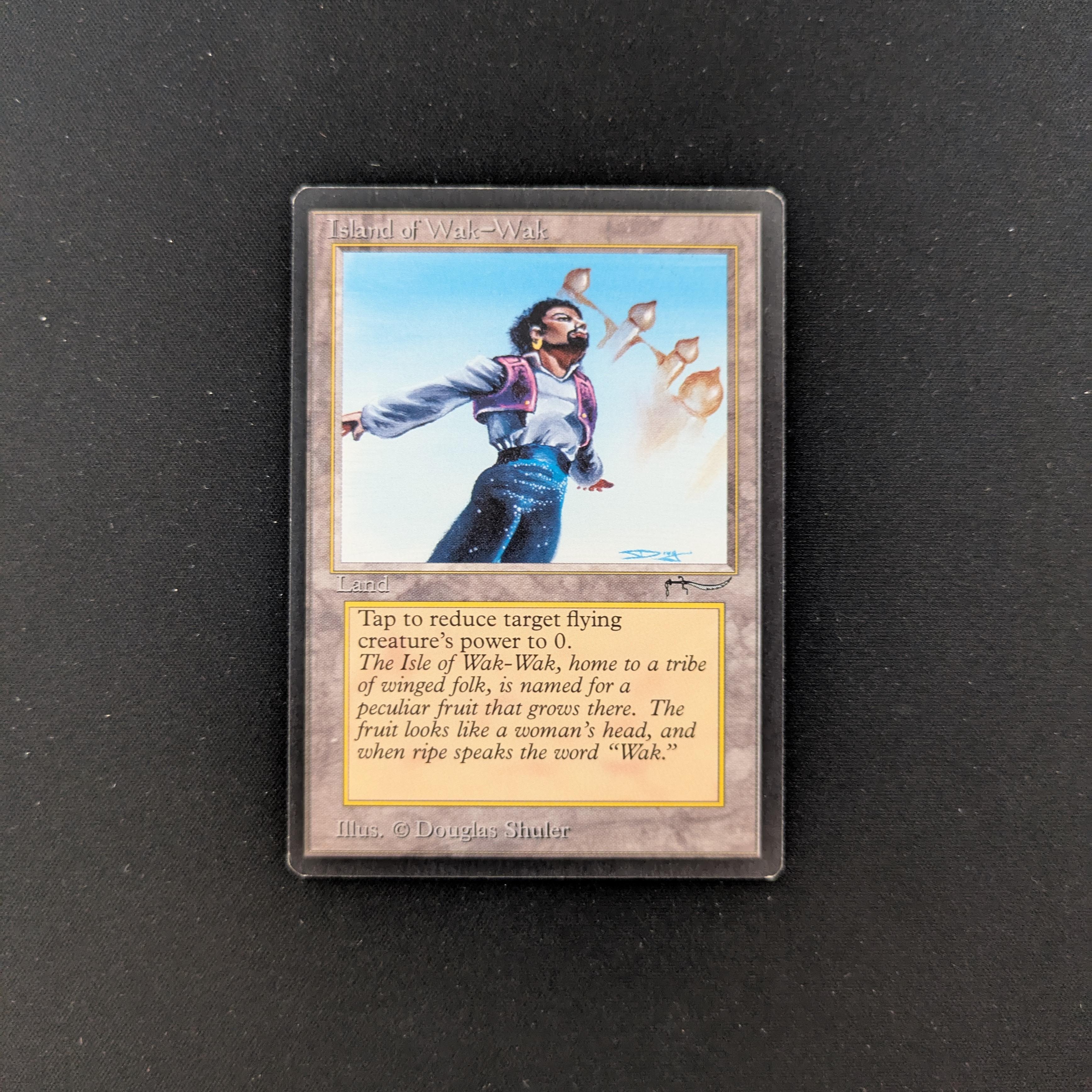 MTG Singles - Island of Wak-Wak - Arabian Nights - NM - 25456