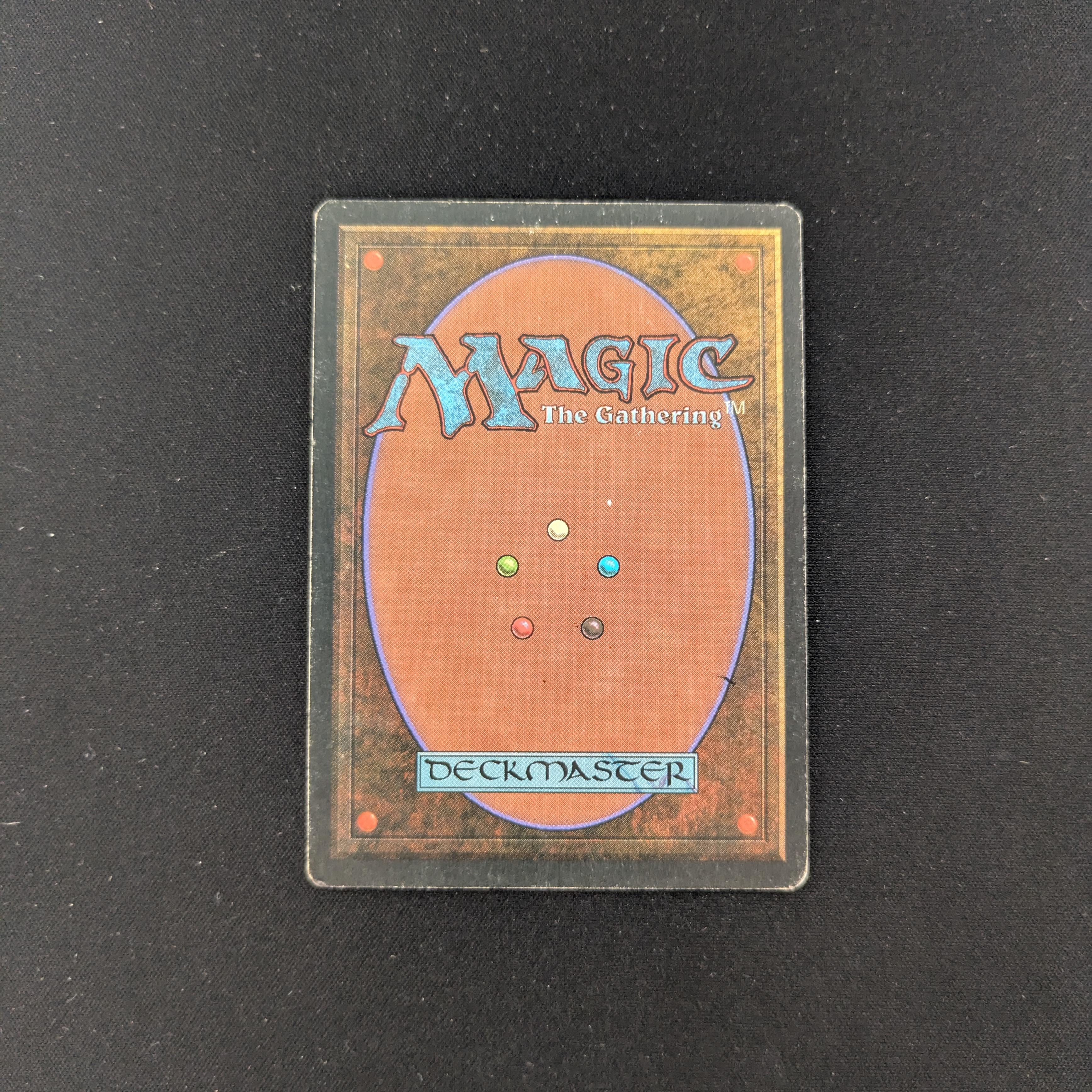 MTG Singles - Taiga - Foreign White Bordered -