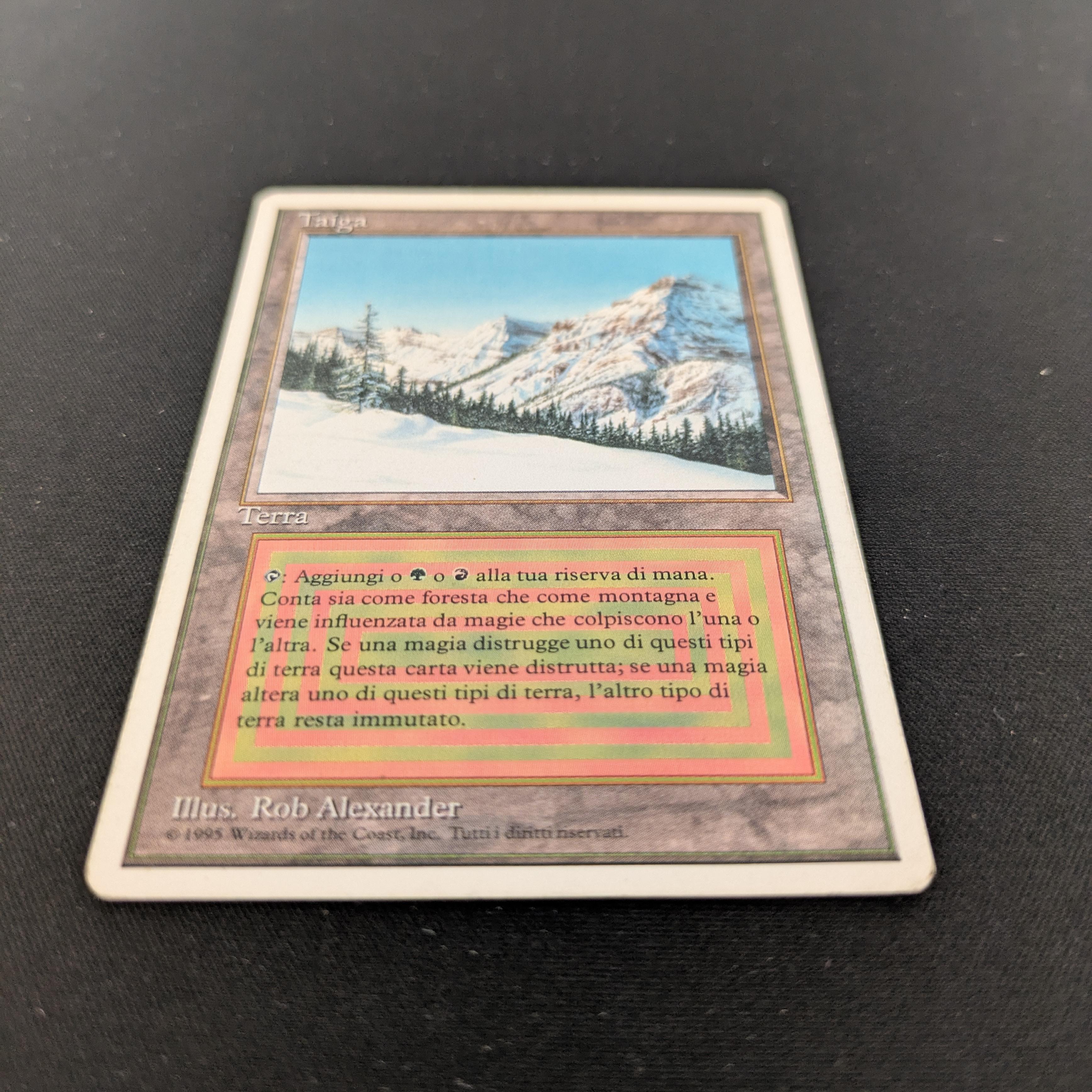 MTG Singles - Taiga - Foreign White Bordered -