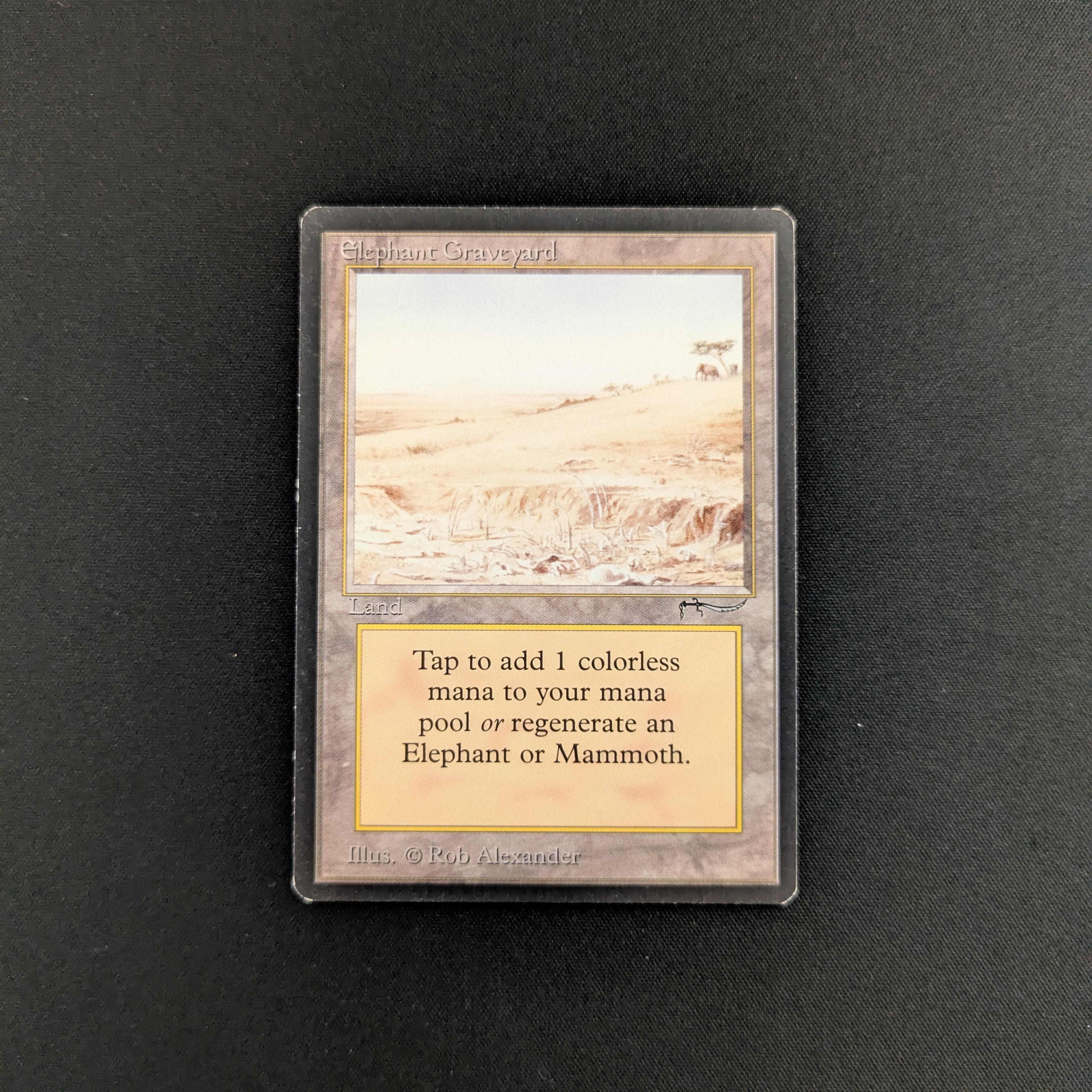 MTG Singles - Elephant Graveyard - Arabian Nights - GD - 25626
