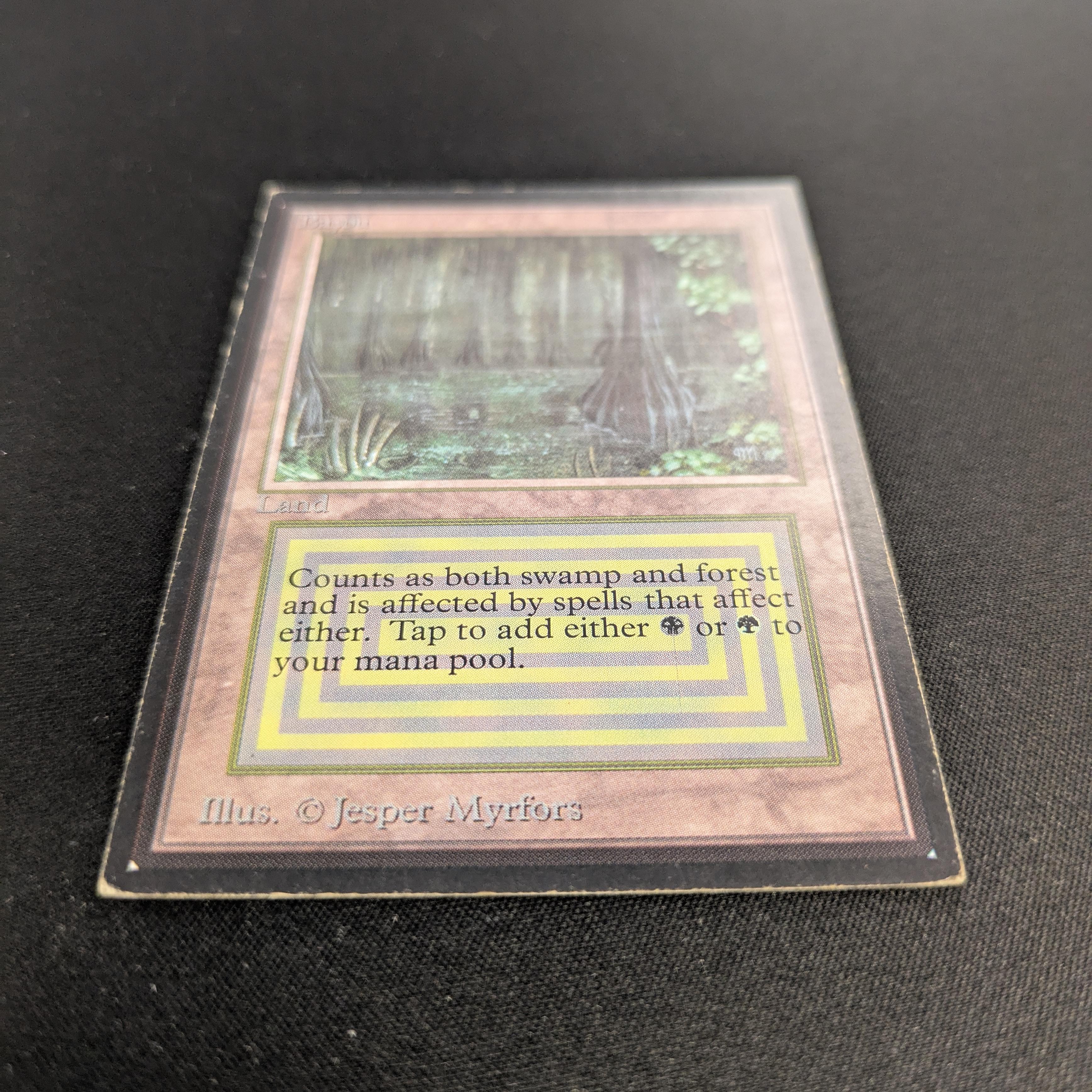 MTG Singles - Bayou - International Edition -