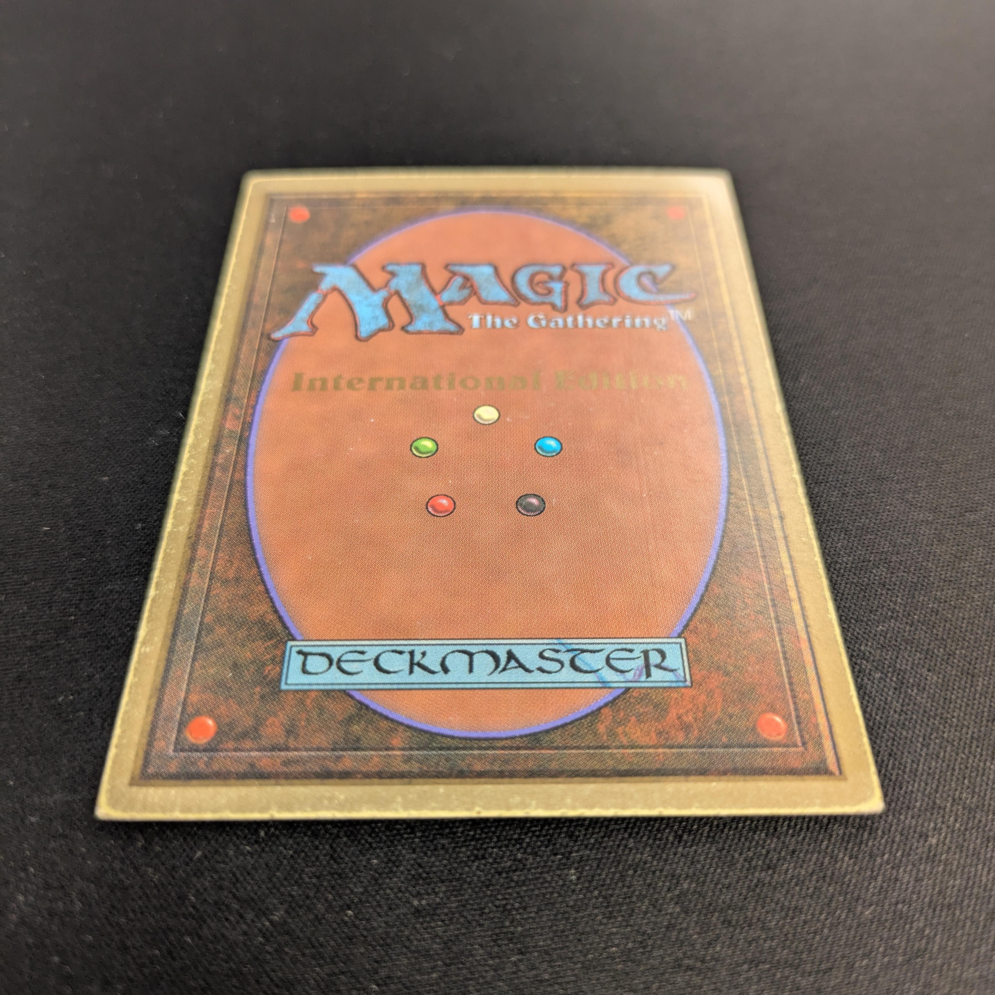 MTG Singles - Bayou - International Edition -