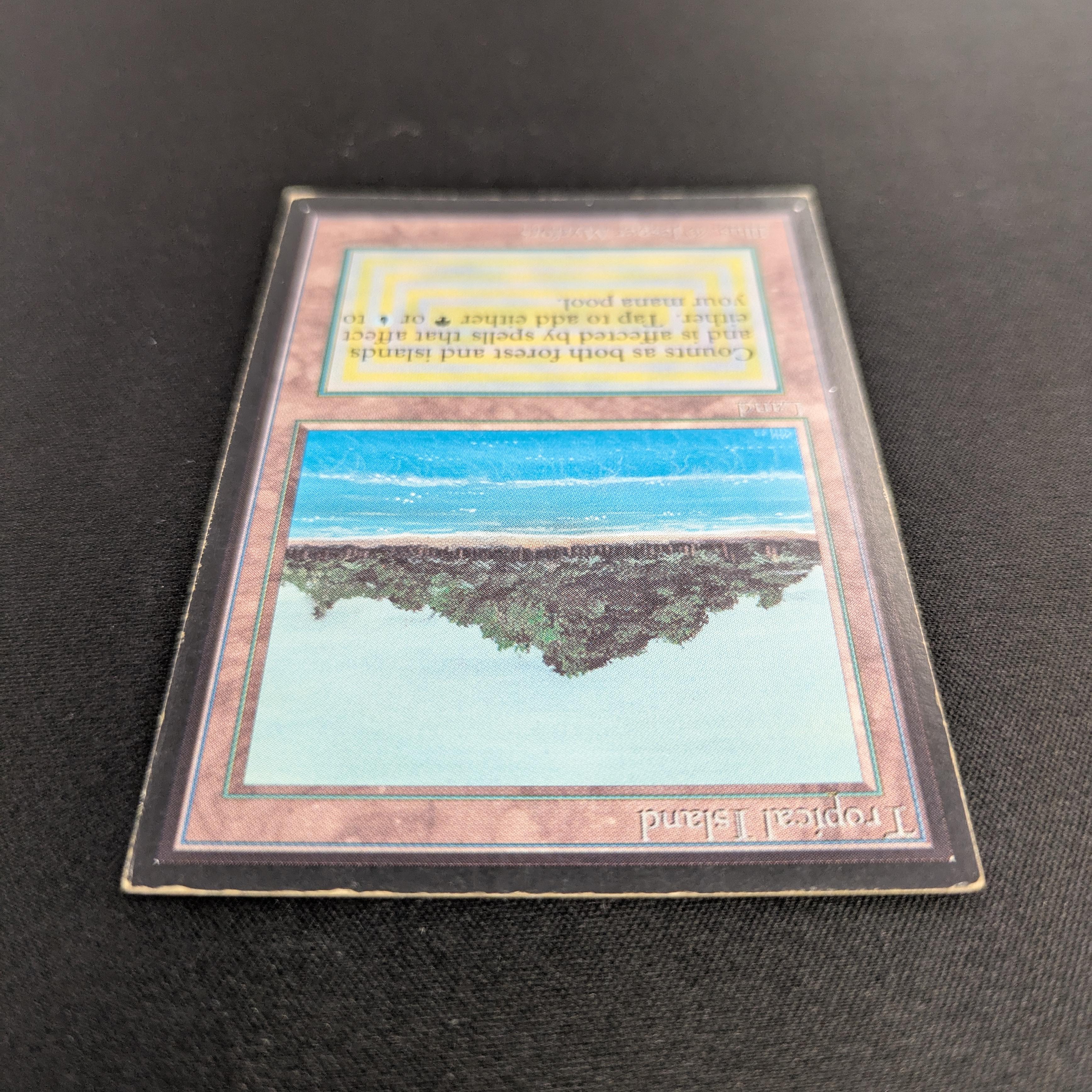 MTG Singles - Tropical Island - International Edition -