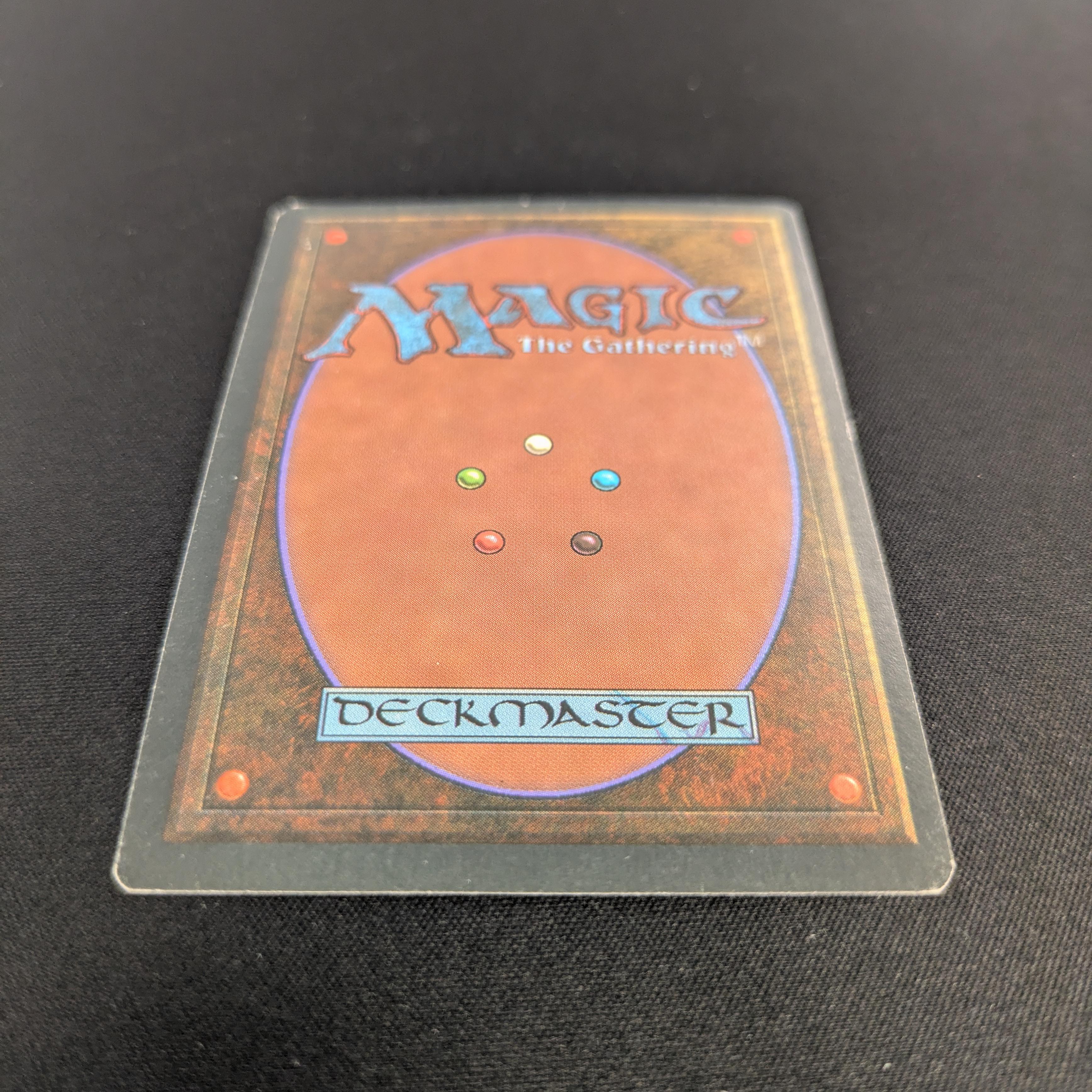 MTG Singles - Tundra - Foreign White Bordered -