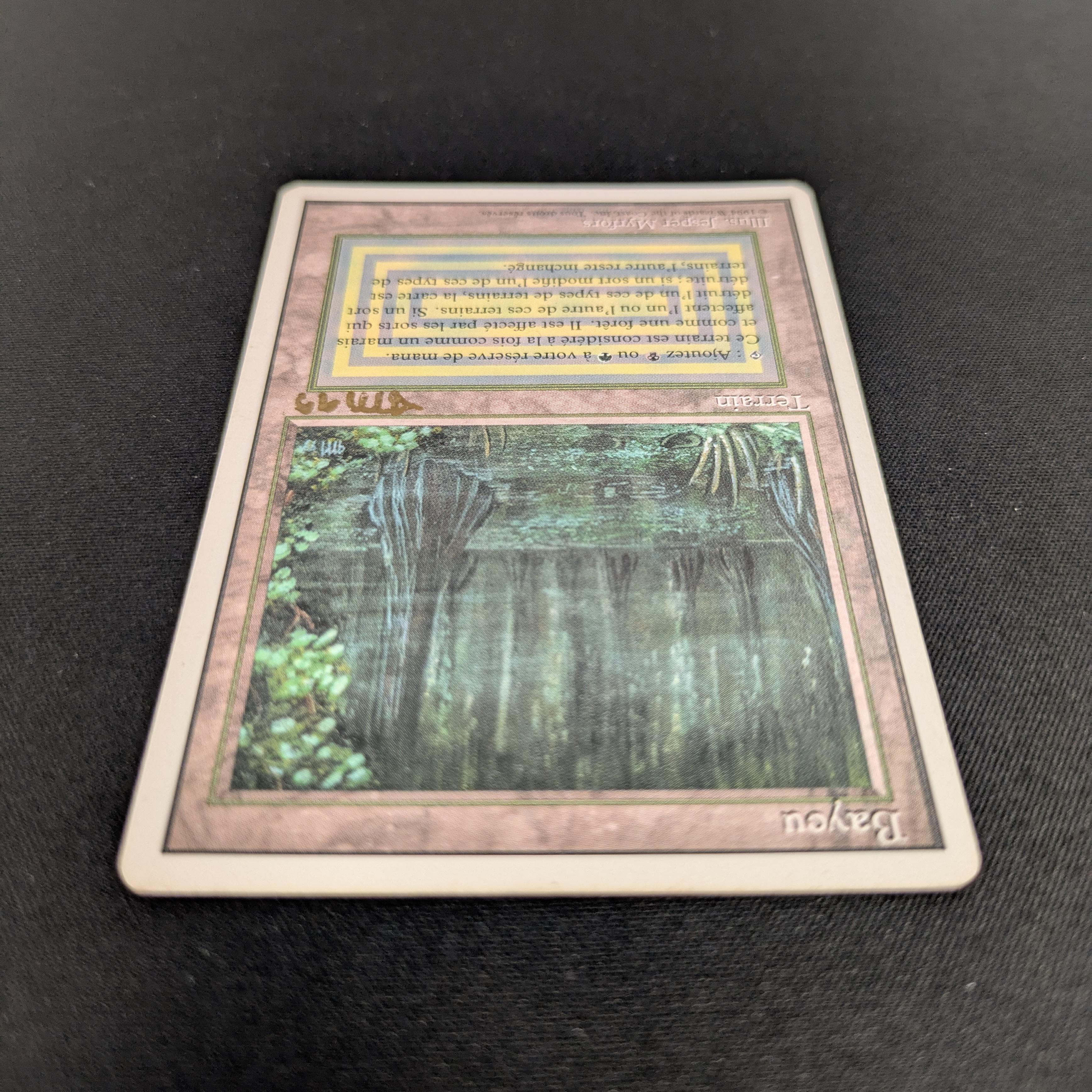 MTG Singles - Bayou - Foreign White Bordered -