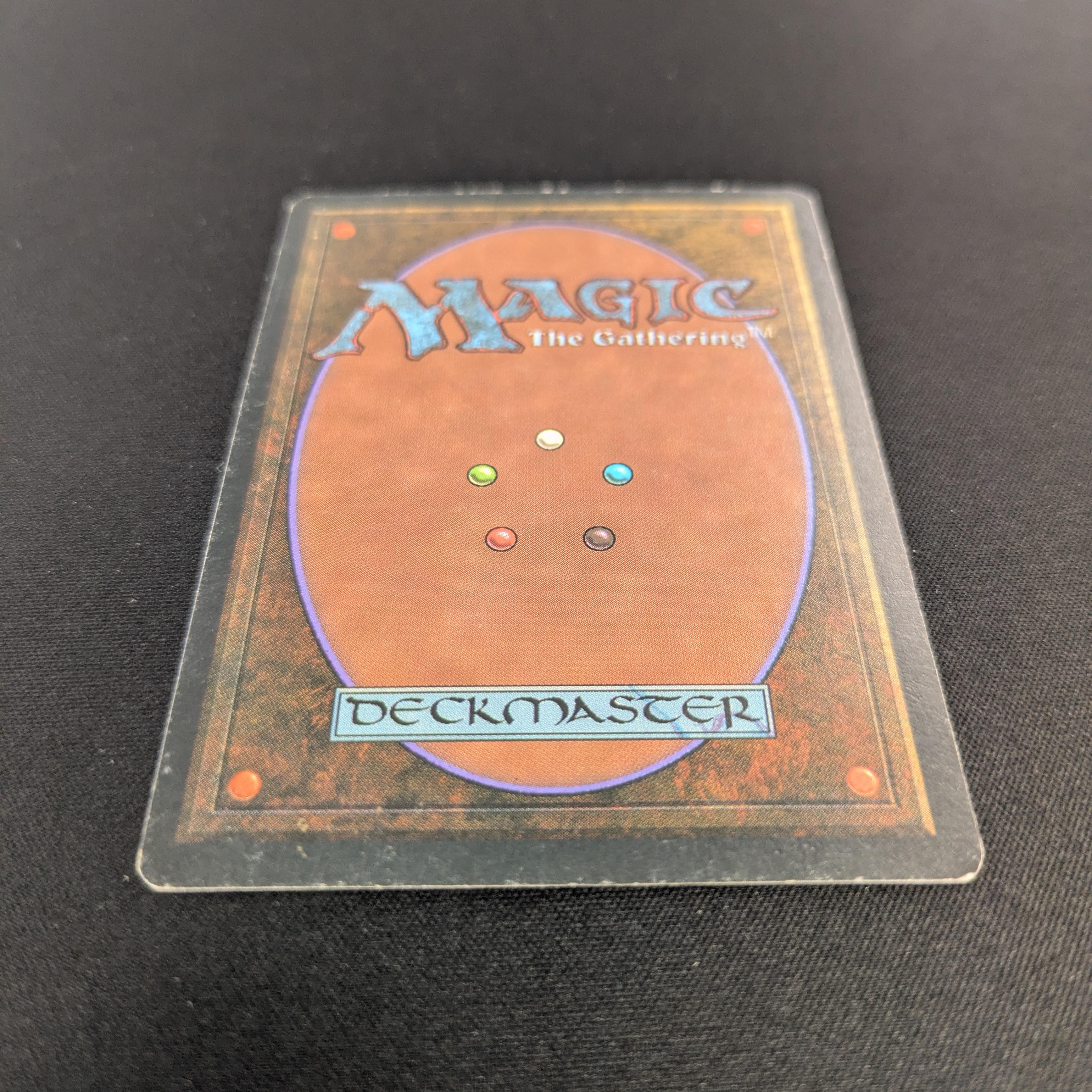 MTG Singles - Bayou - Foreign White Bordered -