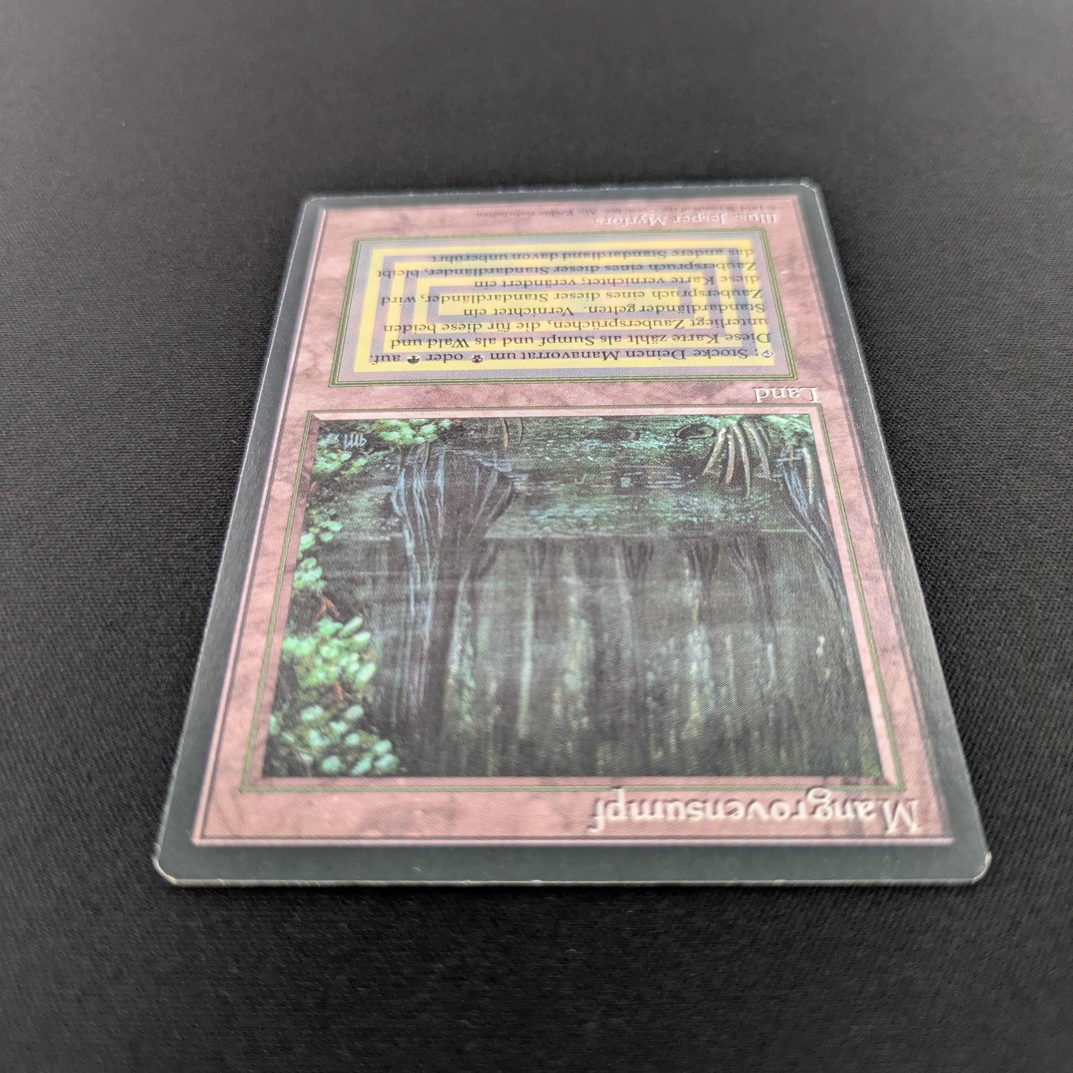 MTG Singles - Bayou - Foreign Black Bordered -
