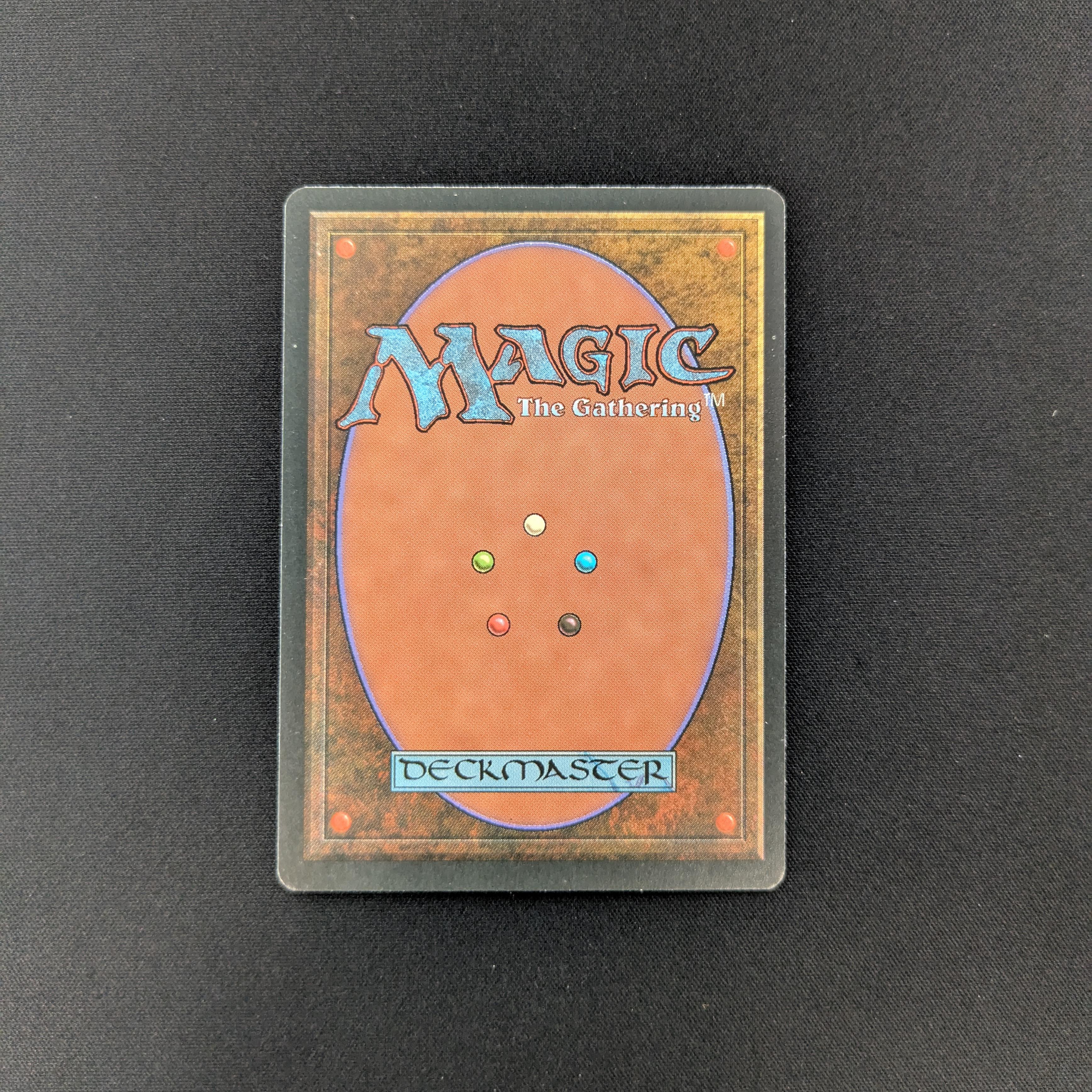 MTG Singles - Savannah - Foreign Black Bordered -