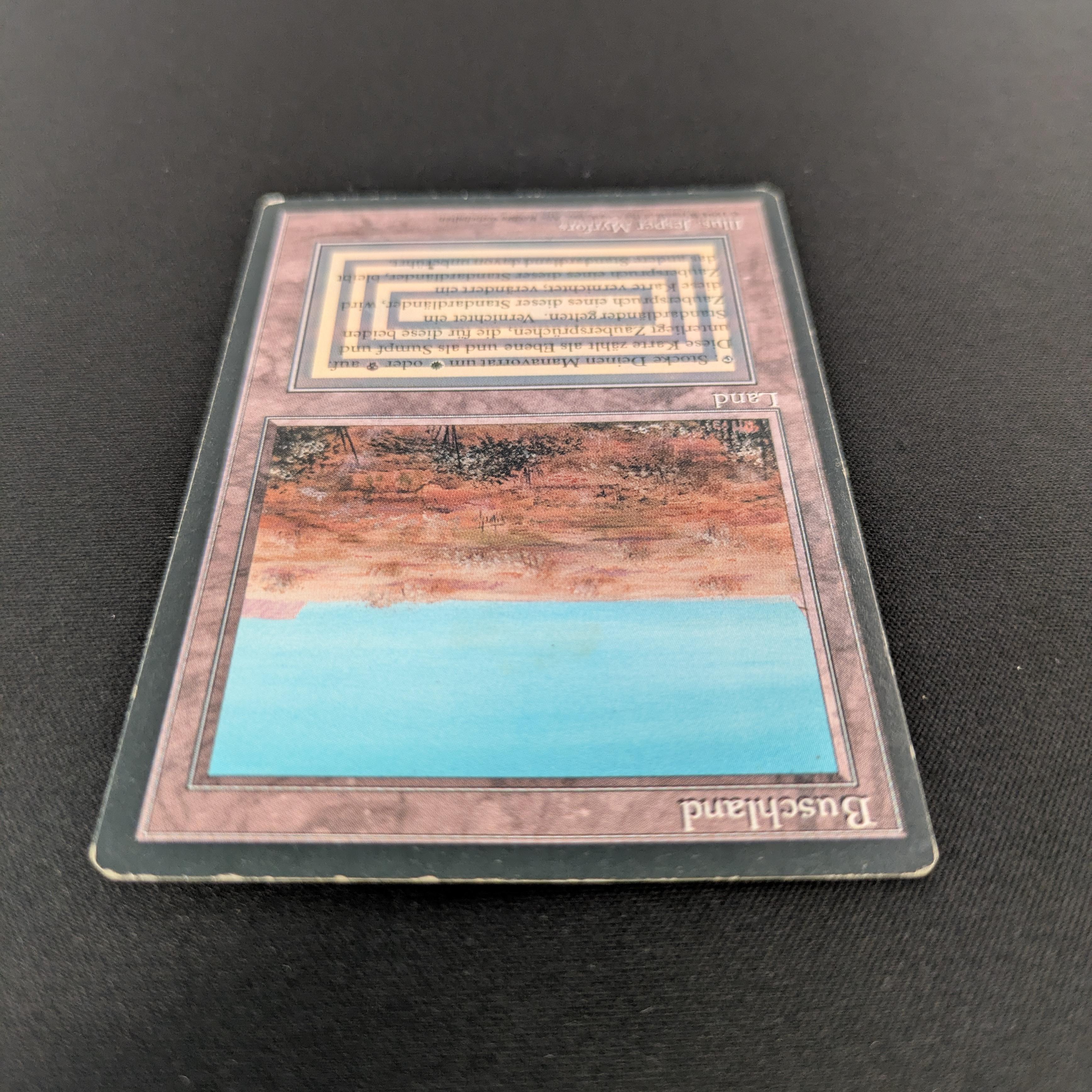 MTG Singles - Scrubland - Foreign Black Bordered -