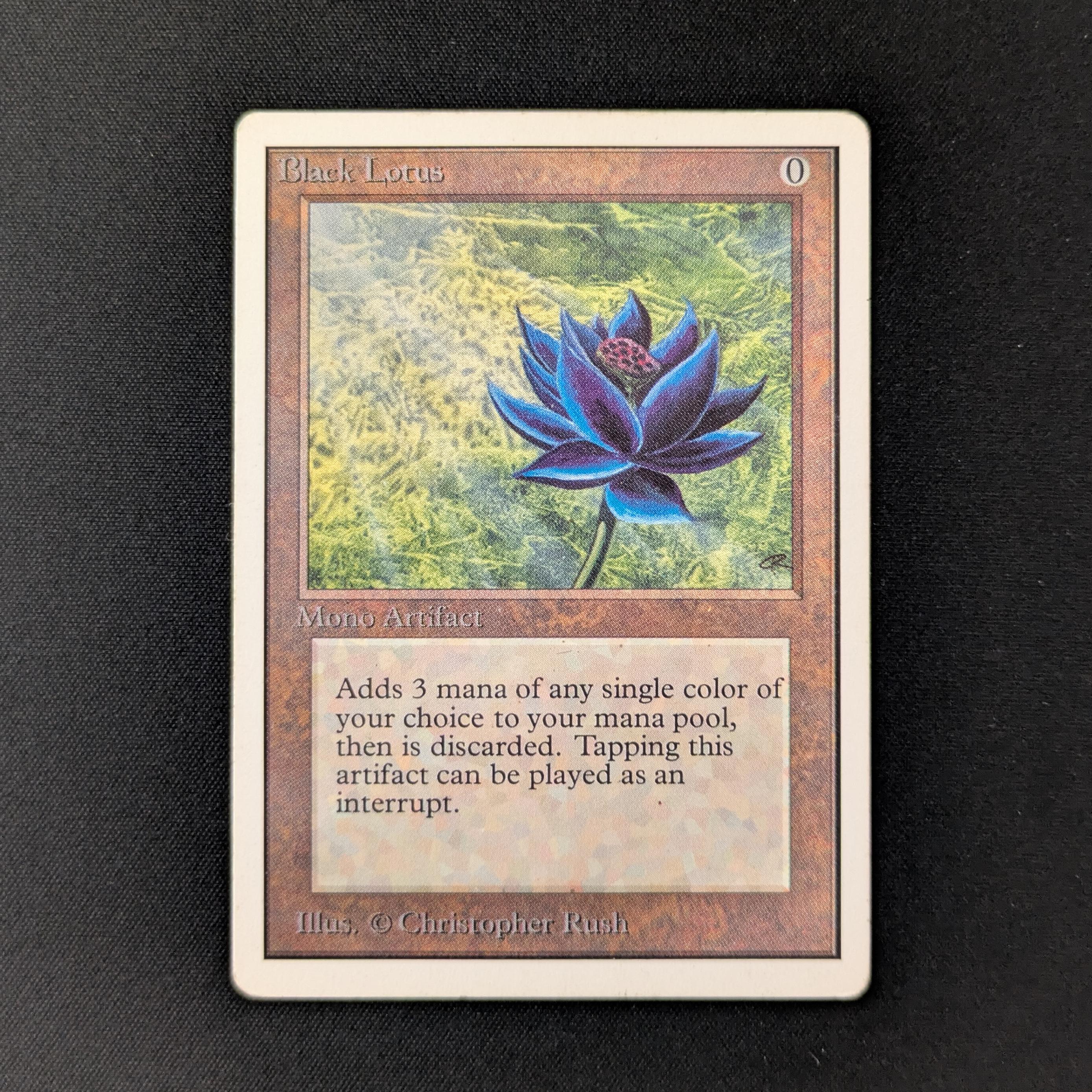 MTG Singles - Black Lotus - Unlimited - PL - 26063