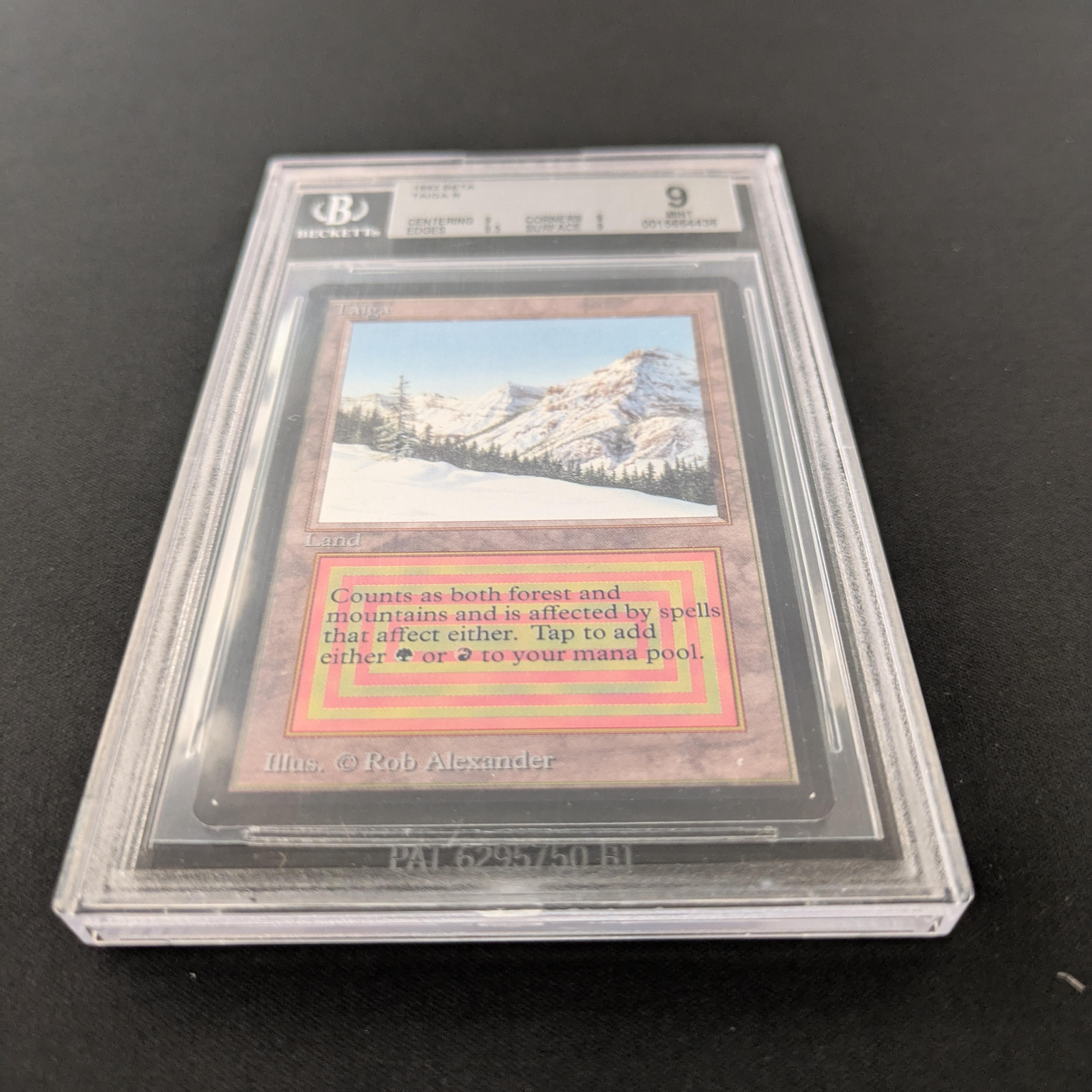 MTG Singles - Taiga - Beta -