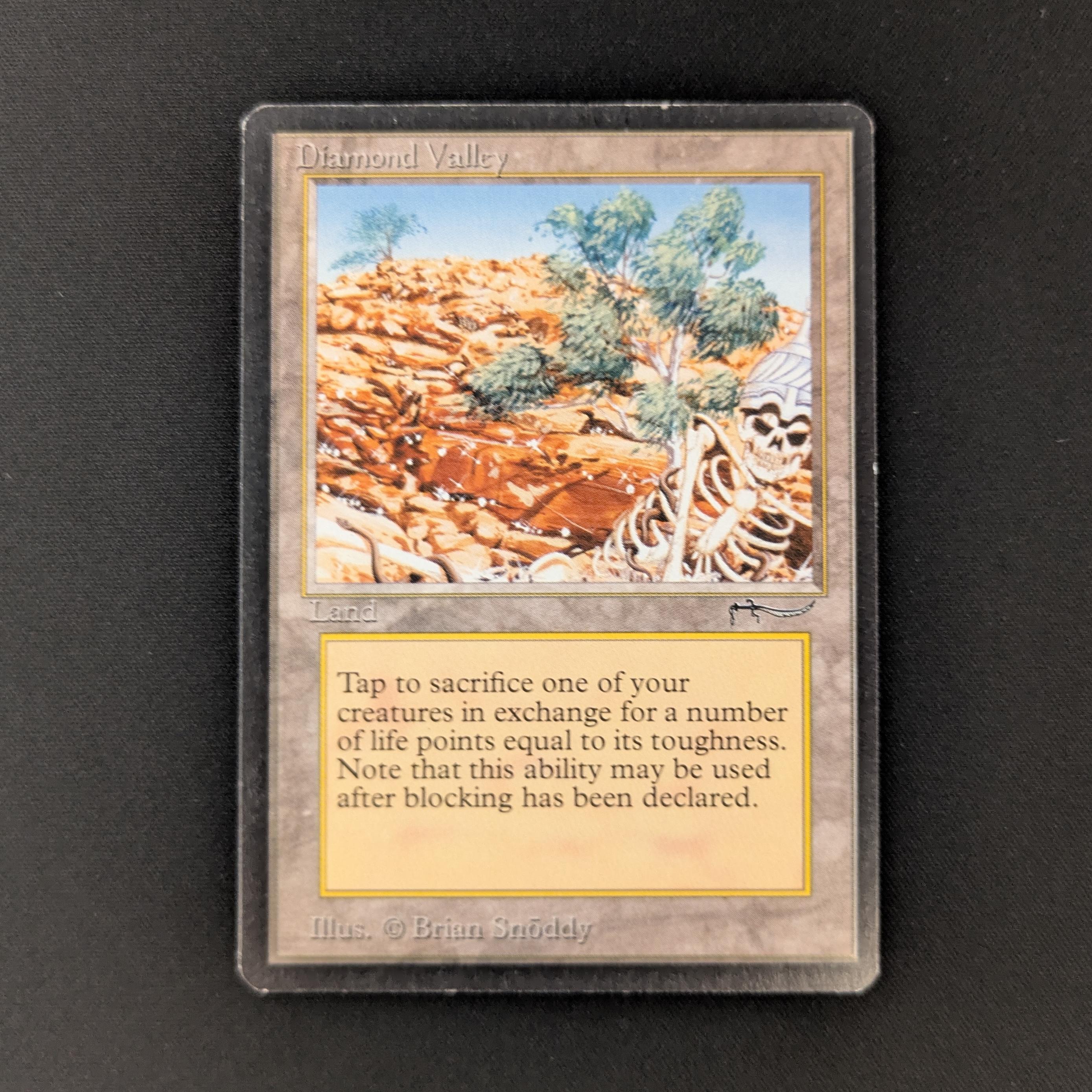 MTG Singles - Diamond Valley - Arabian Nights - GD - 26229
