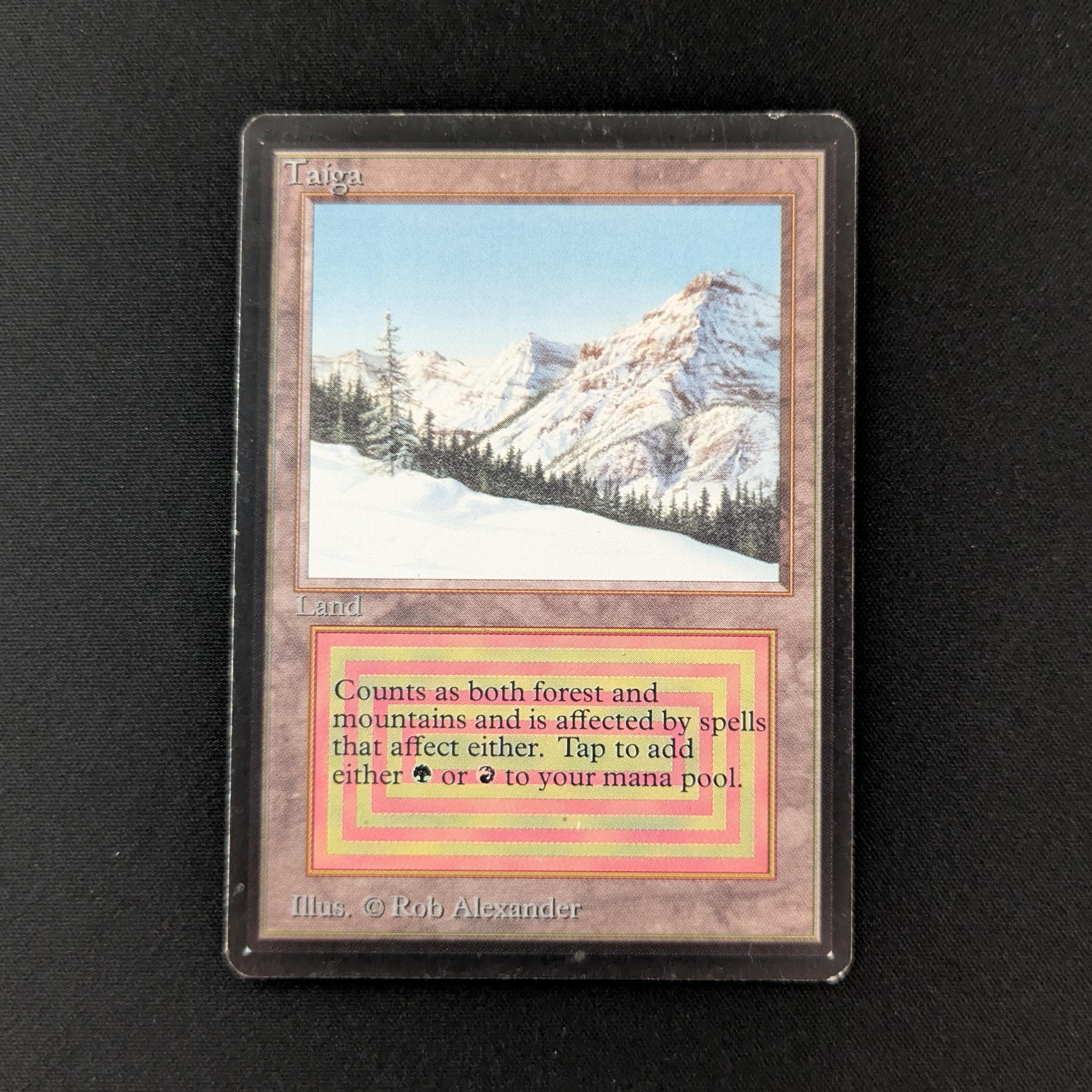 MTG Singles - Taiga - Beta - LP - 26643