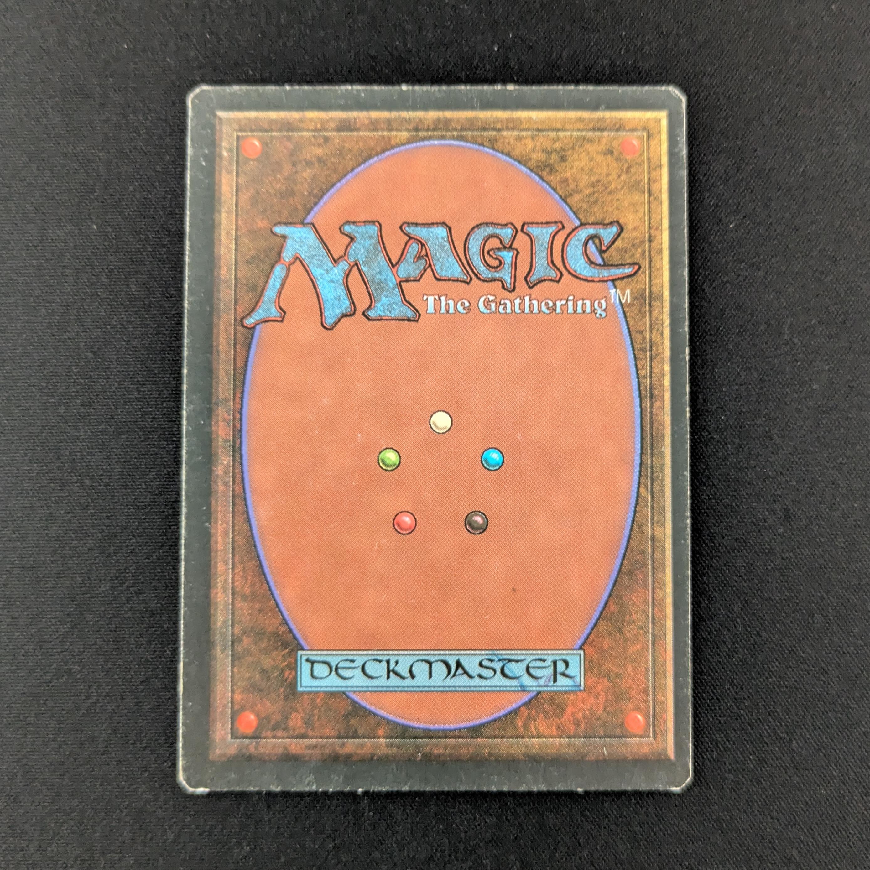 MTG Singles - Savannah - Foreign Black Bordered -