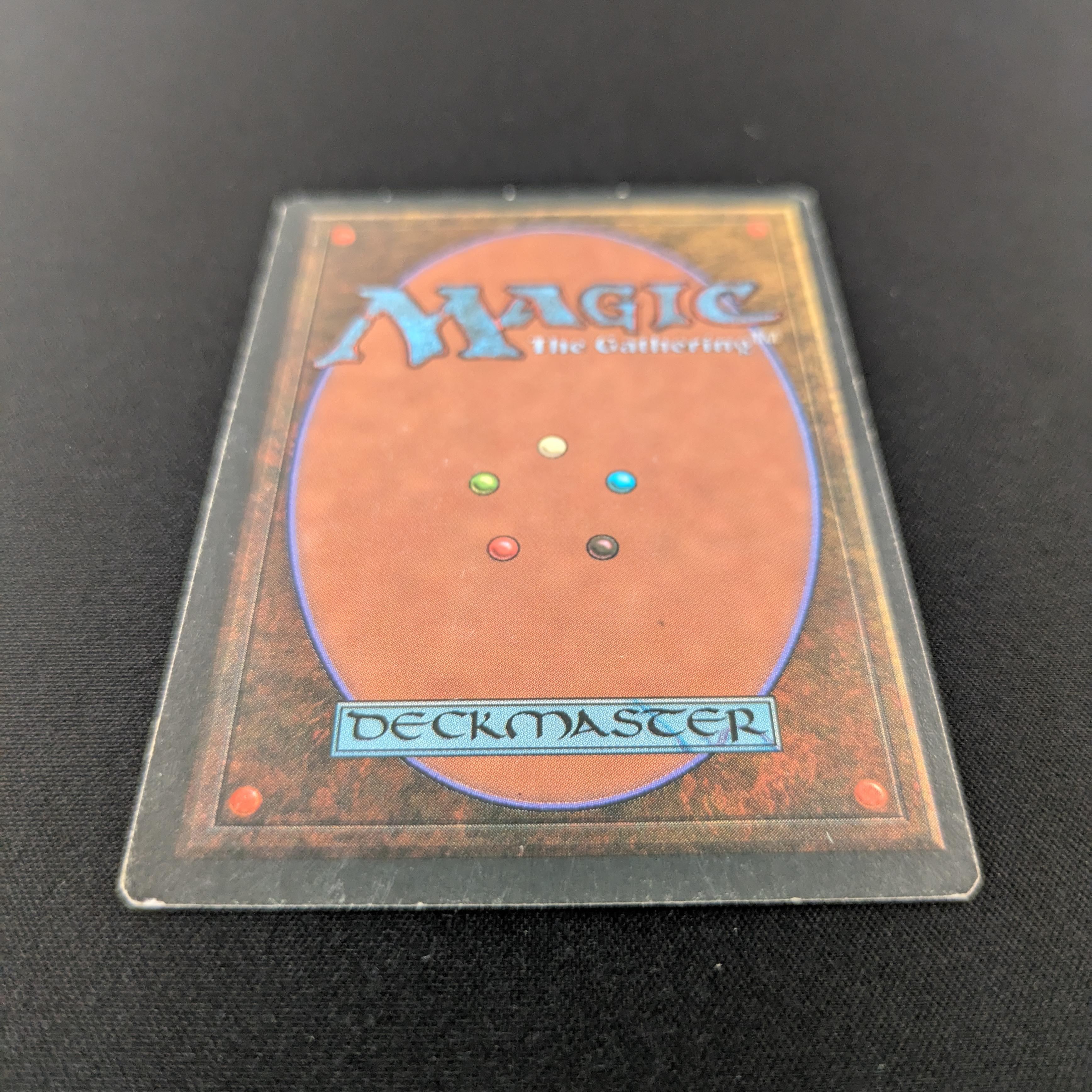 MTG Singles - Savannah - Foreign Black Bordered -