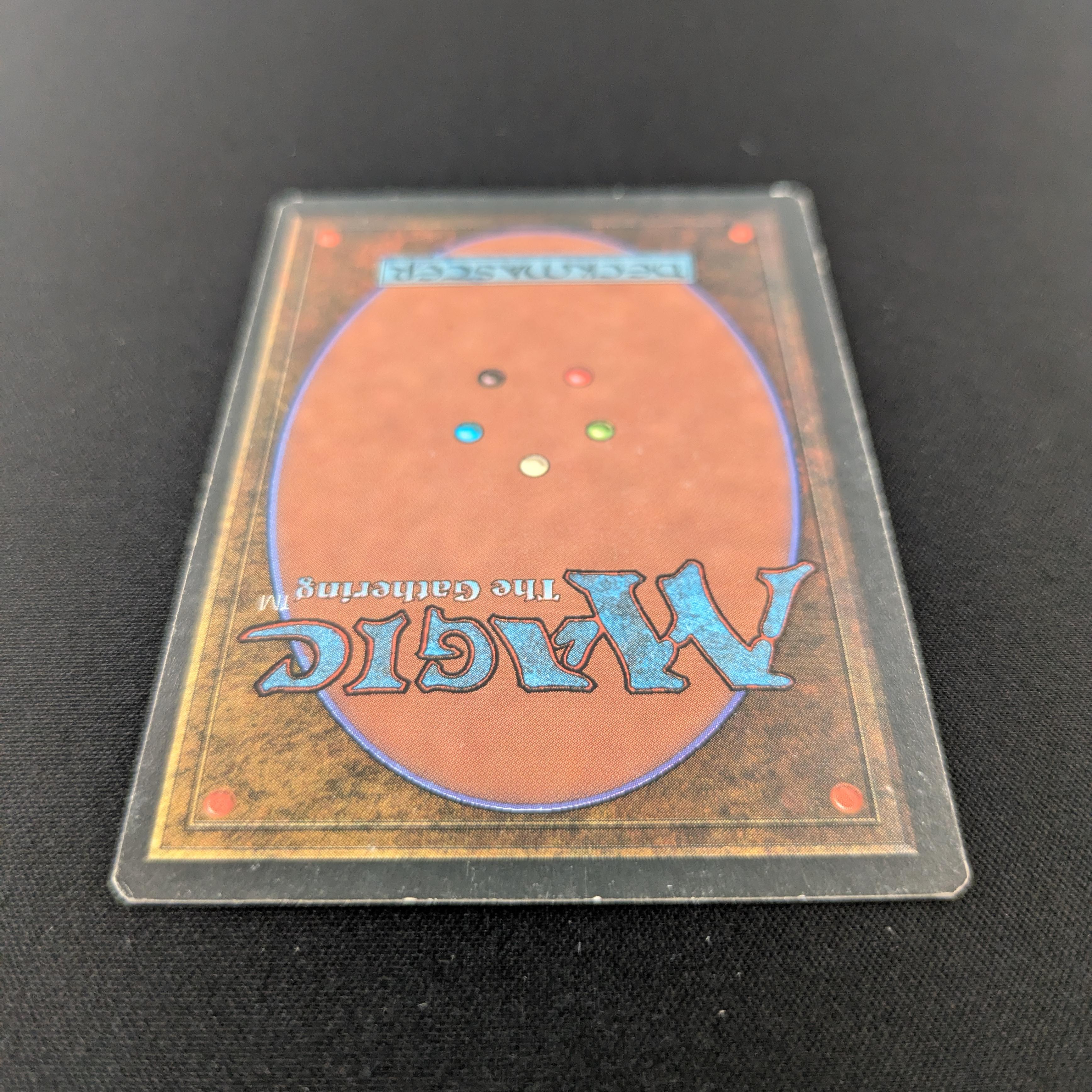 MTG Singles - Savannah - Foreign Black Bordered -