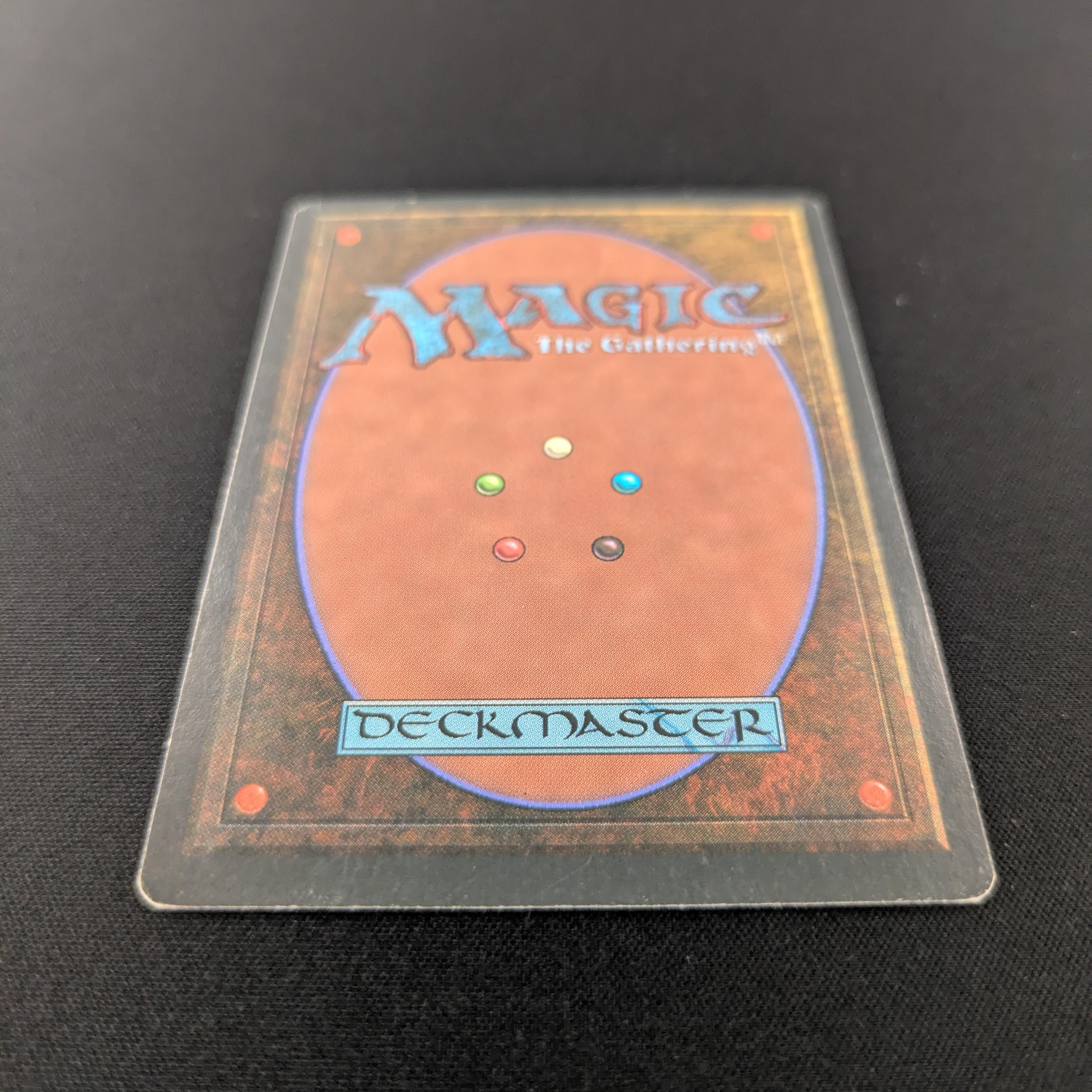 MTG Singles - Taiga - Foreign White Bordered -