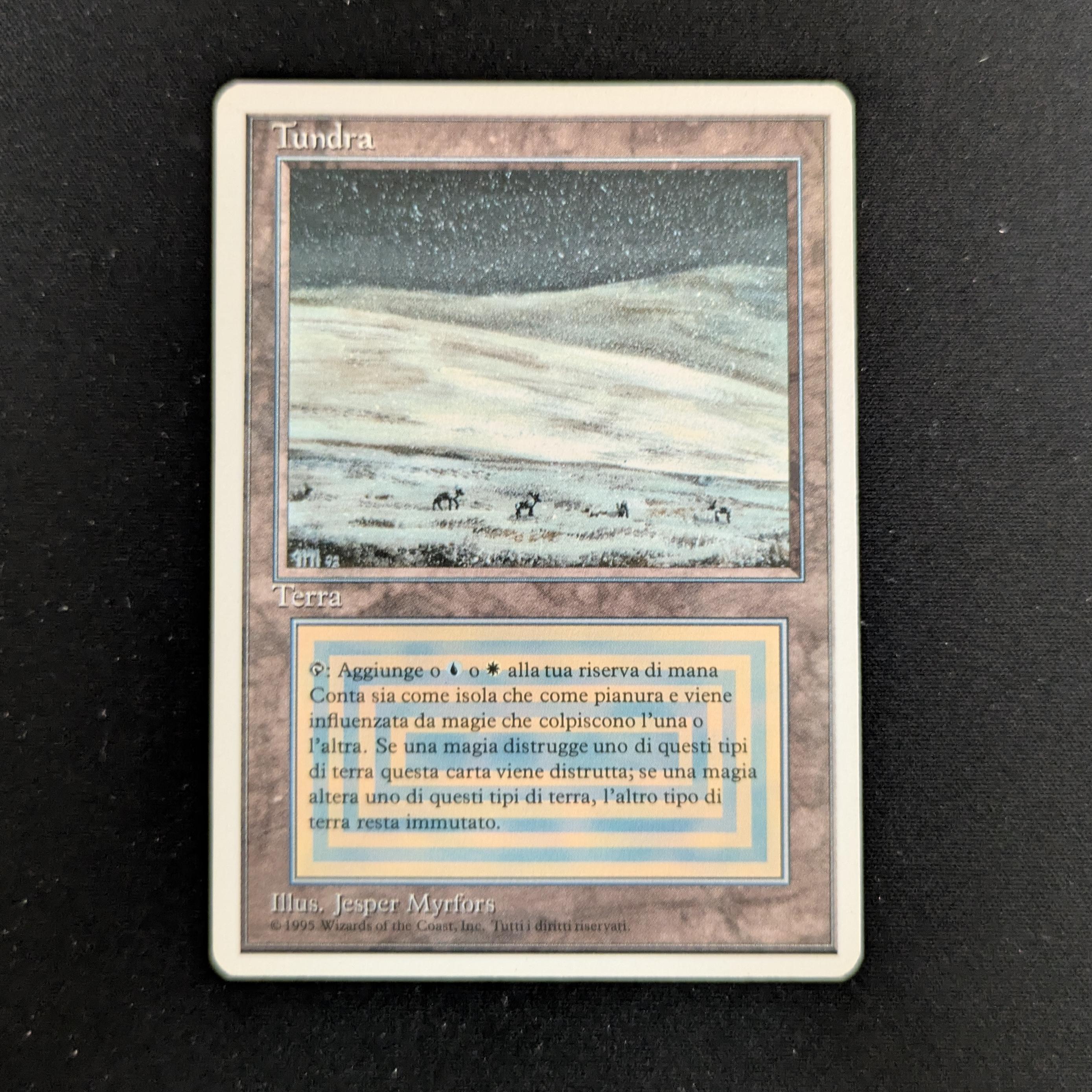 MTG Singles - Tundra - Foreign White Bordered - Italian - GD - 26761