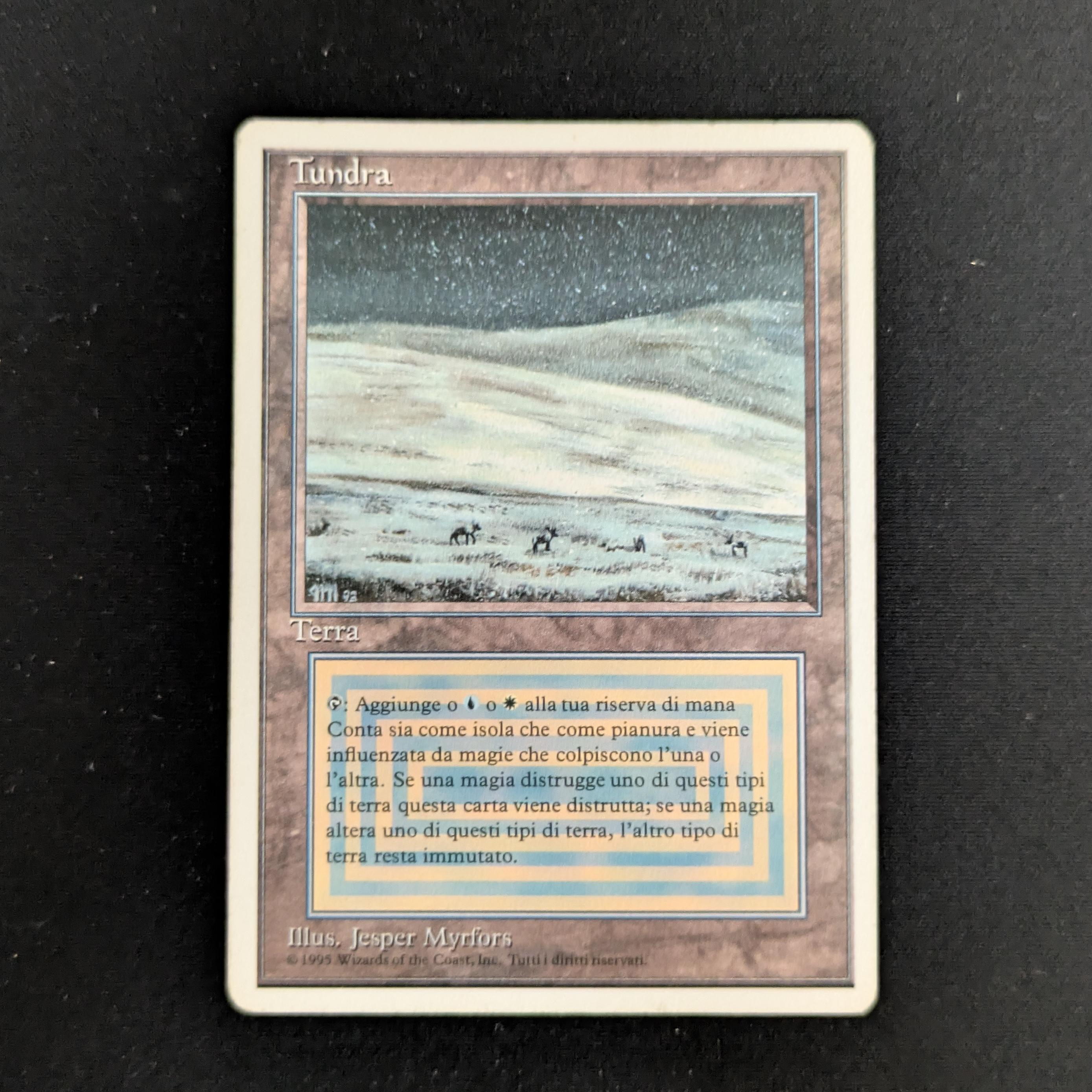 MTG Singles - Tundra - Foreign White Bordered - Italian - LP - 26762