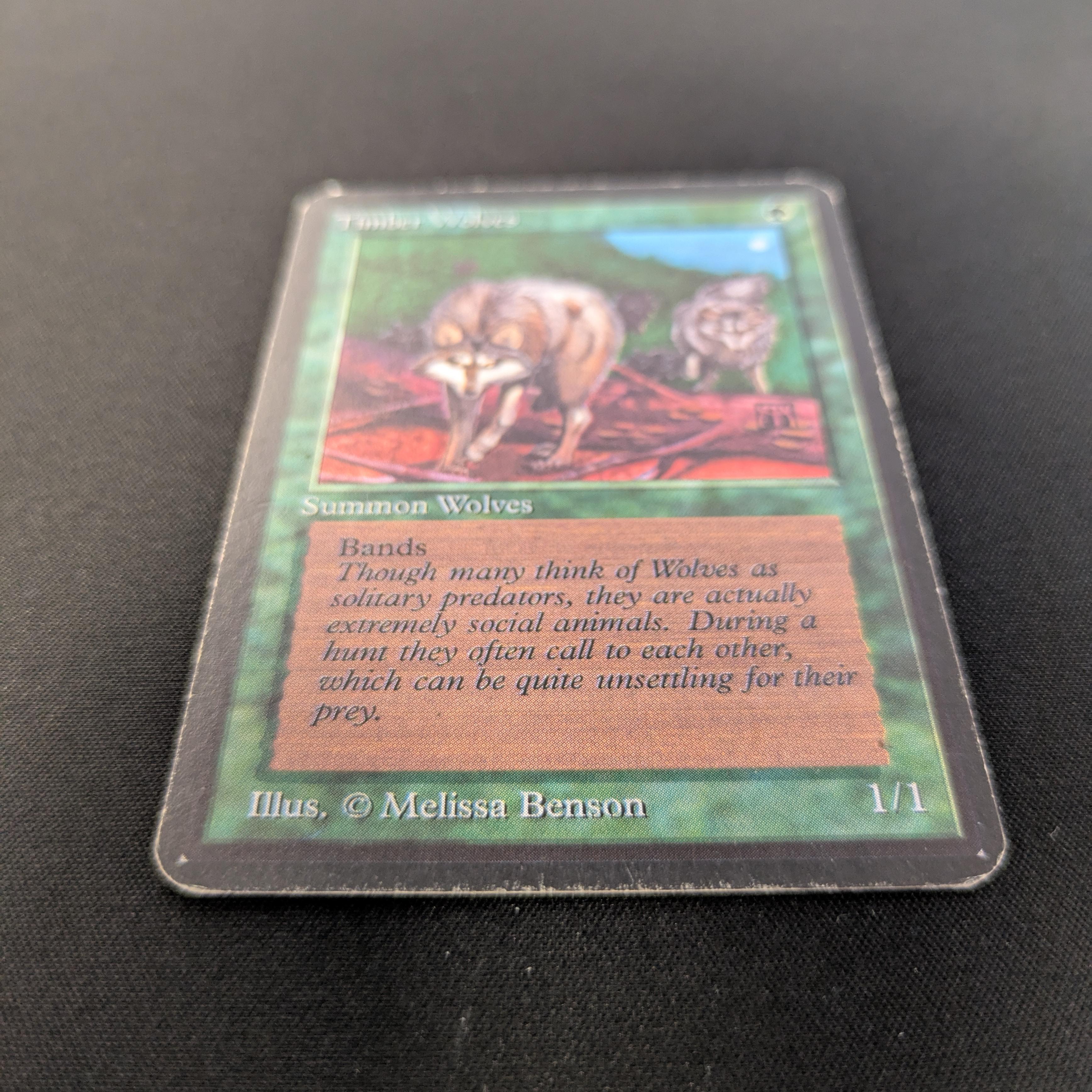 MTG Singles - Timber Wolves - Alpha -