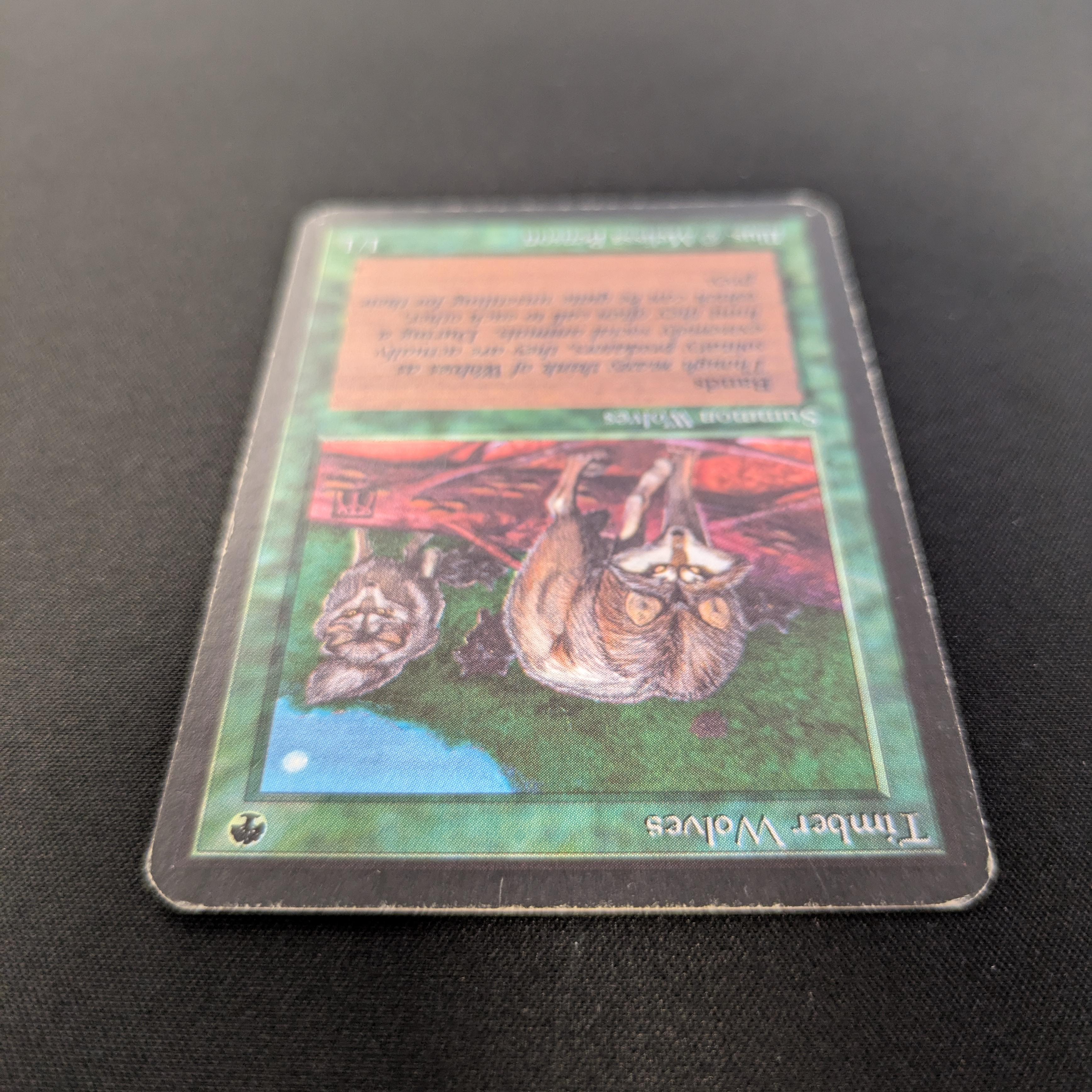 MTG Singles - Timber Wolves - Alpha -