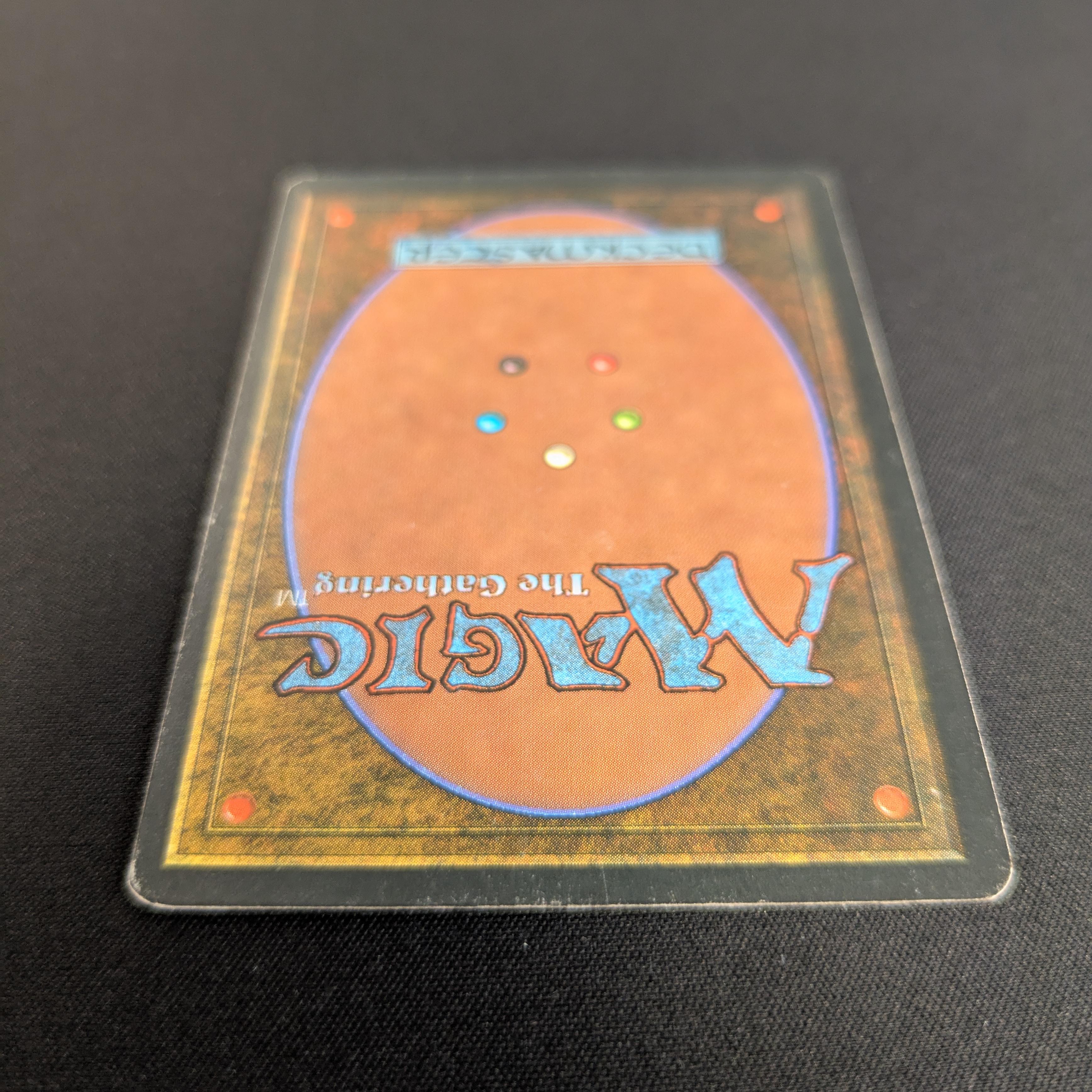 MTG Singles - Savannah - Foreign White Bordered -