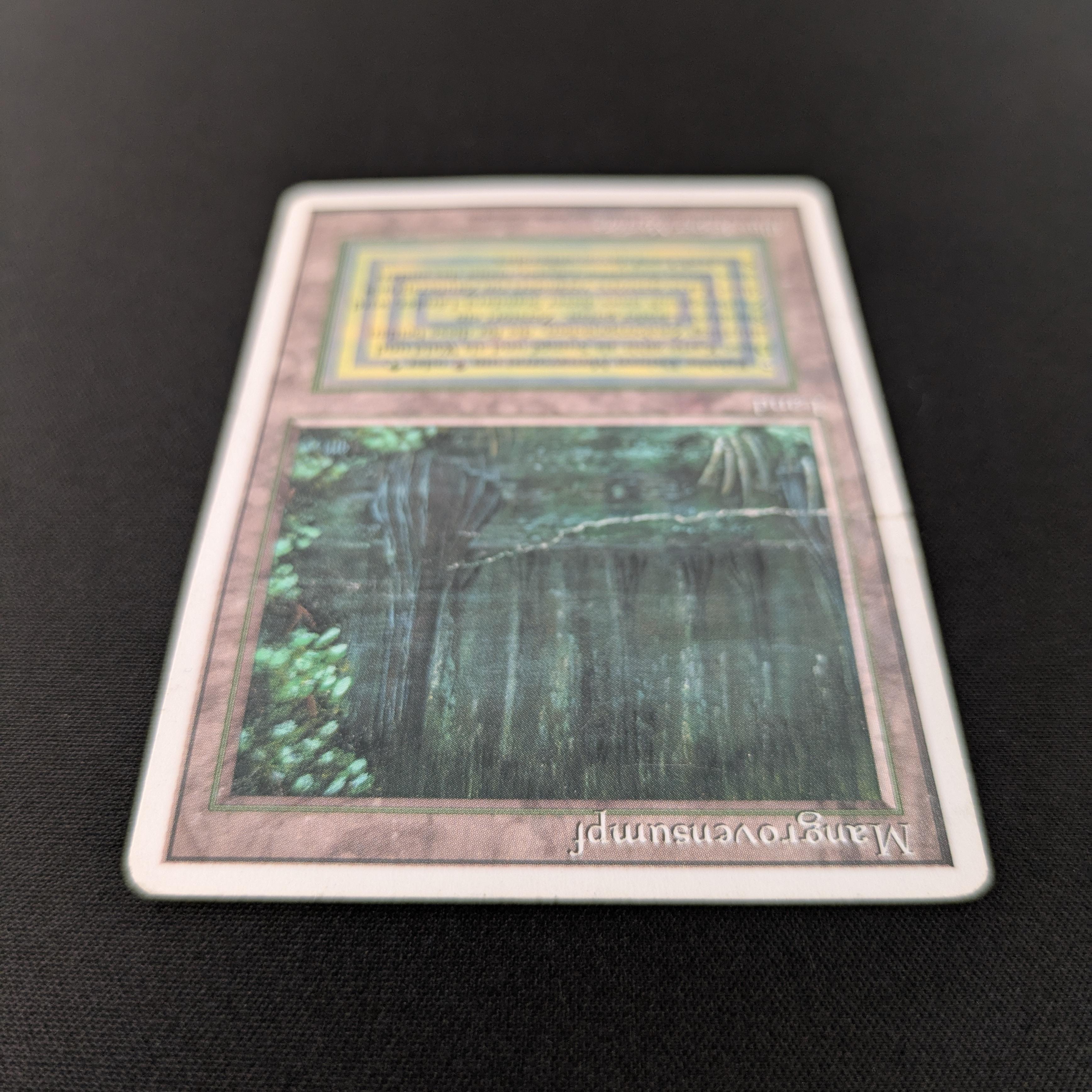 MTG Singles - Bayou - Foreign White Bordered -