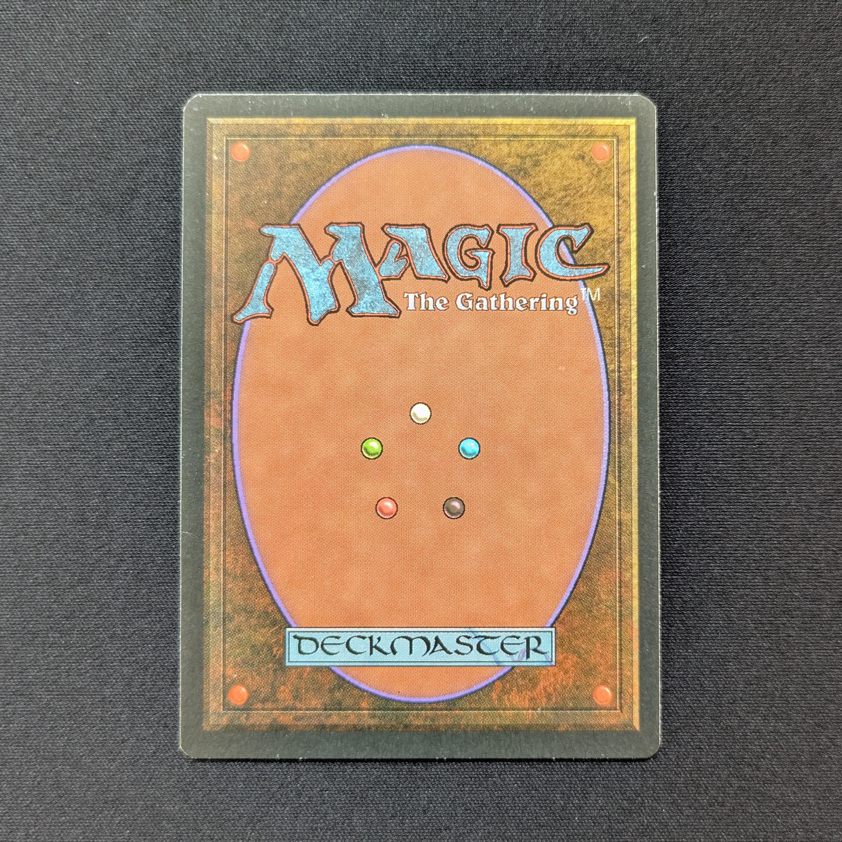 MTG Singles - Bayou - Foreign White Bordered -