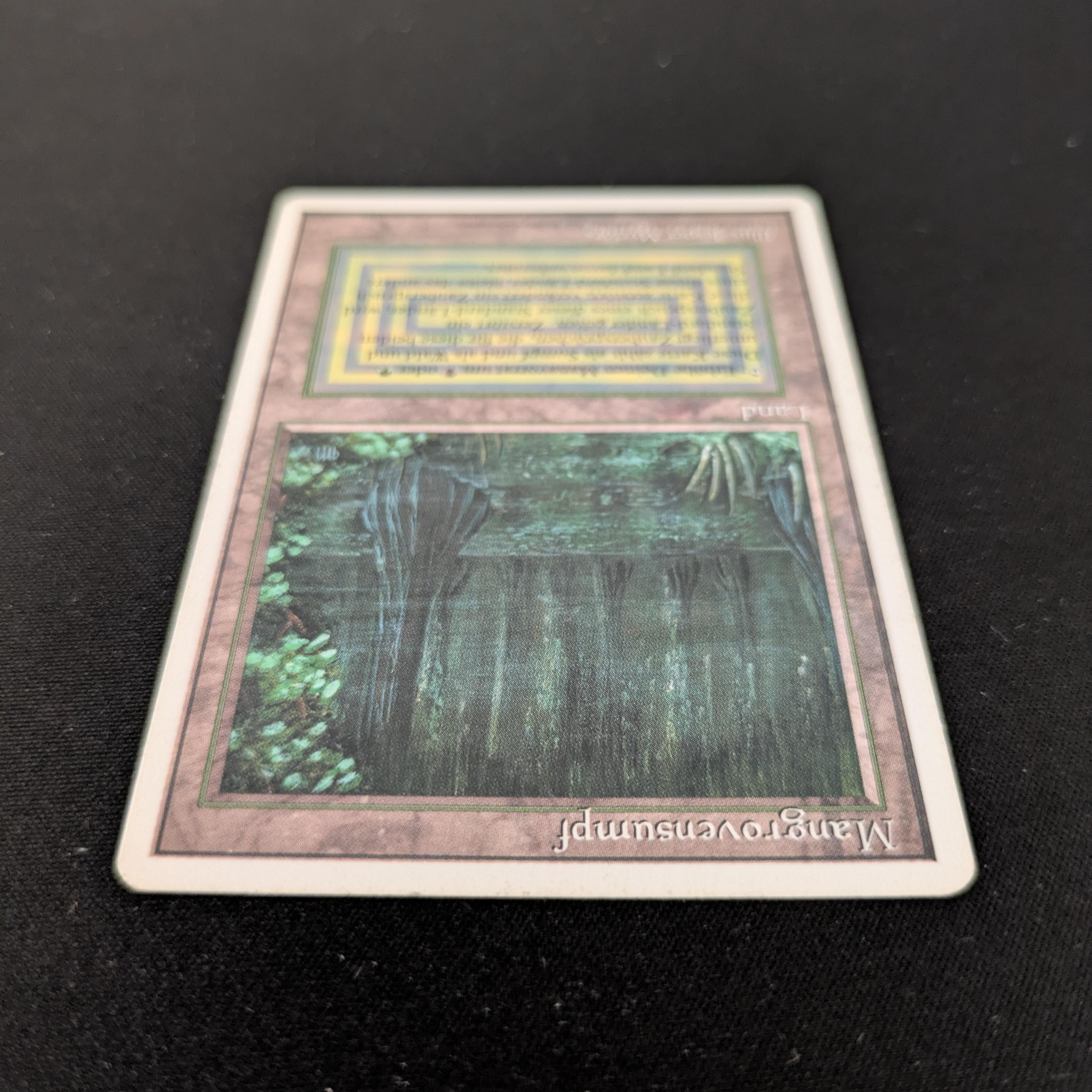 MTG Singles - Bayou - Foreign White Bordered -