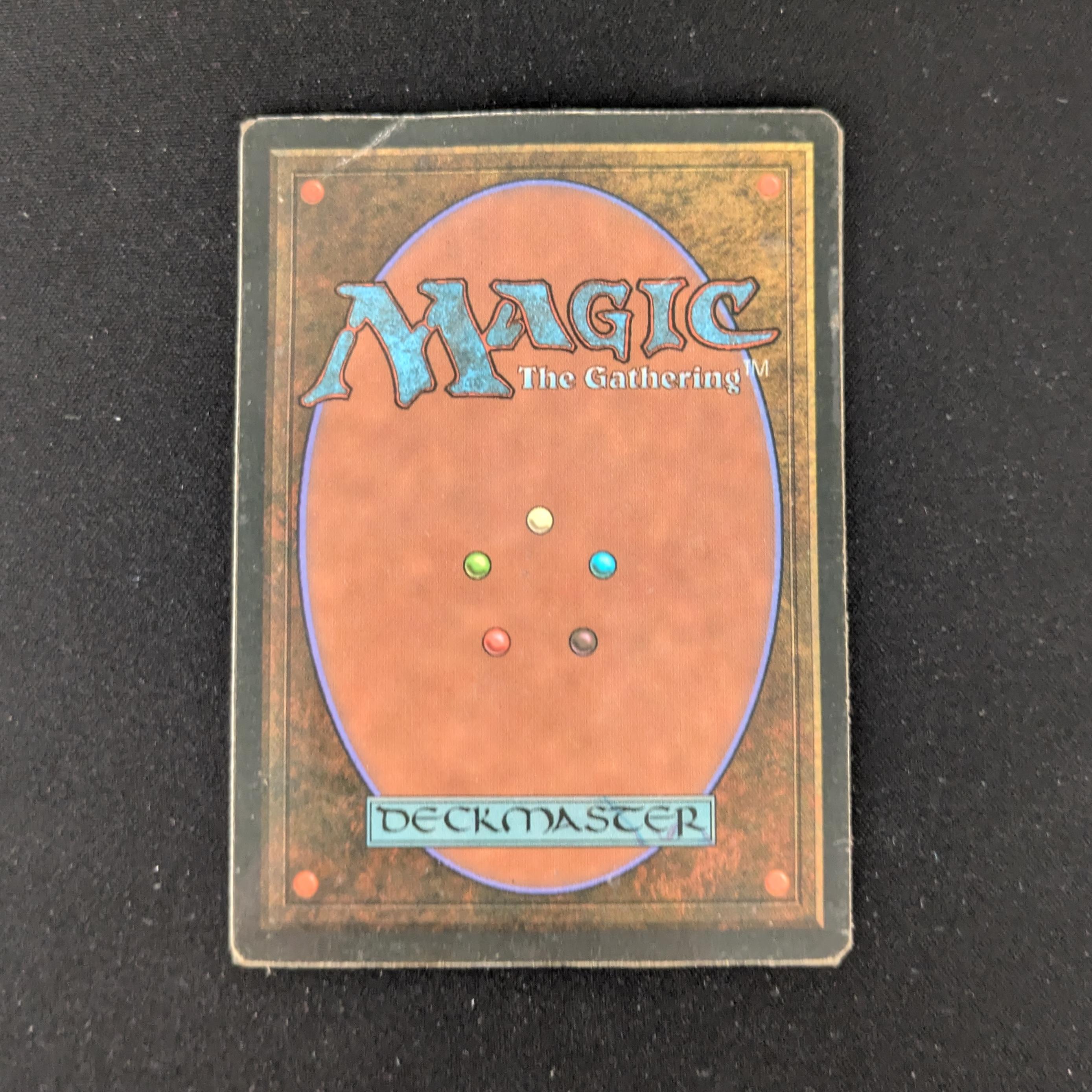 MTG Singles - Bayou - Foreign White Bordered -