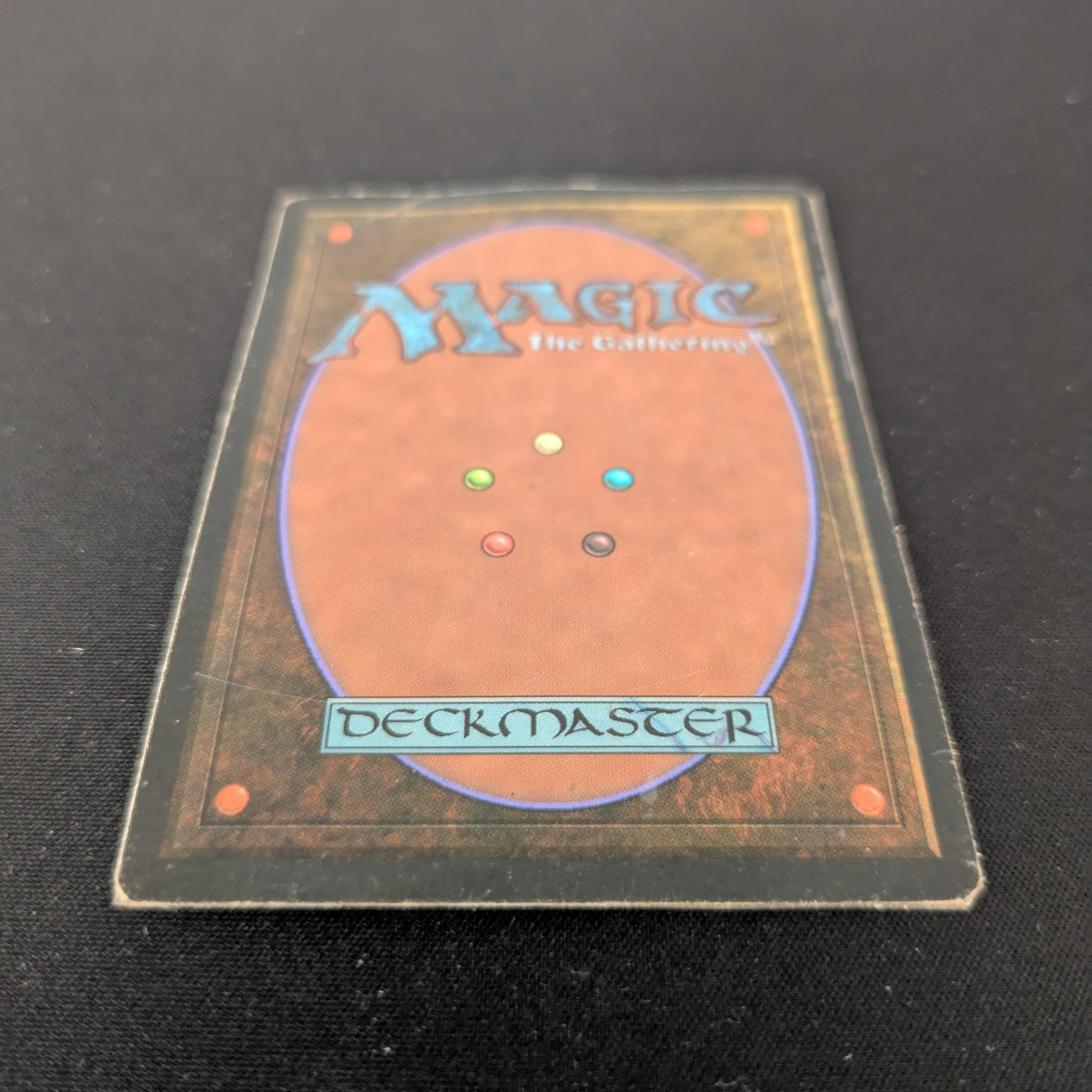 MTG Singles - Bayou - Foreign White Bordered -