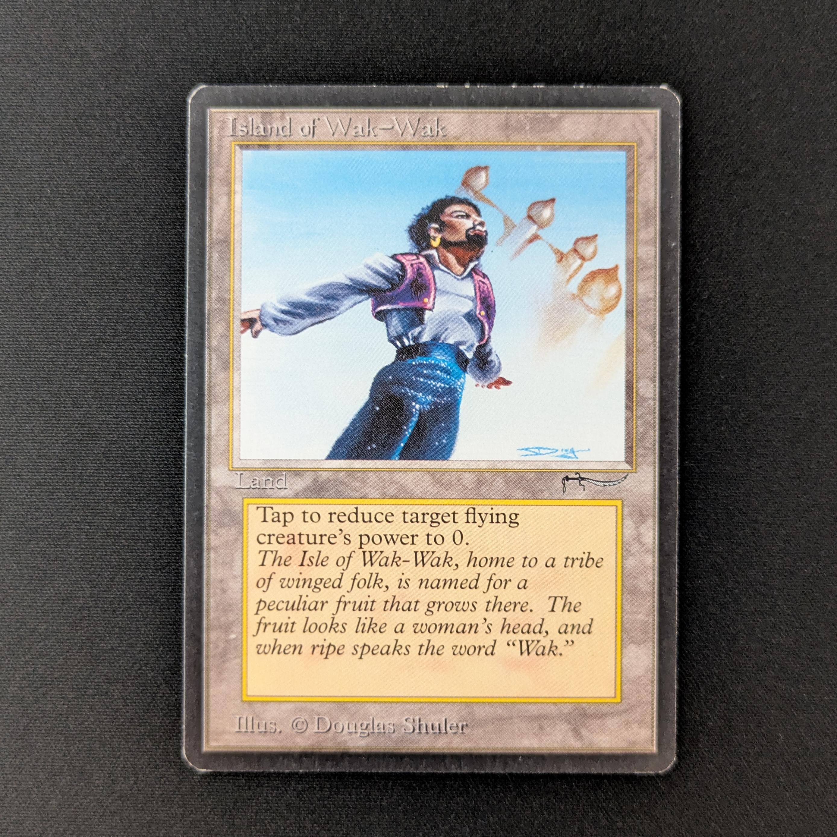 MTG Singles - Island of Wak-Wak - Arabian Nights - LP - 27384